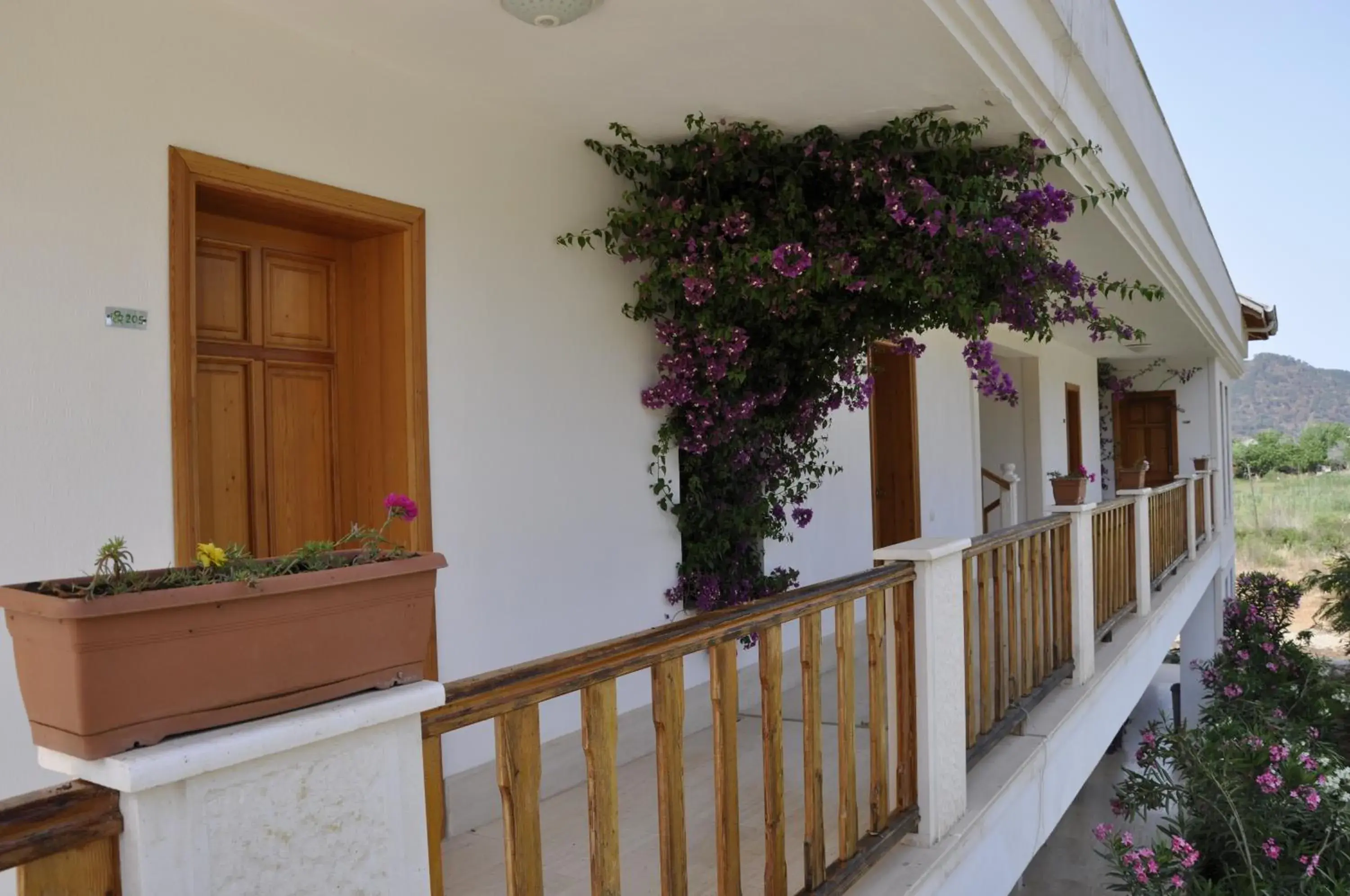 Facade/entrance in Yonca Hotel Facade/entrance in Yonca Hotel