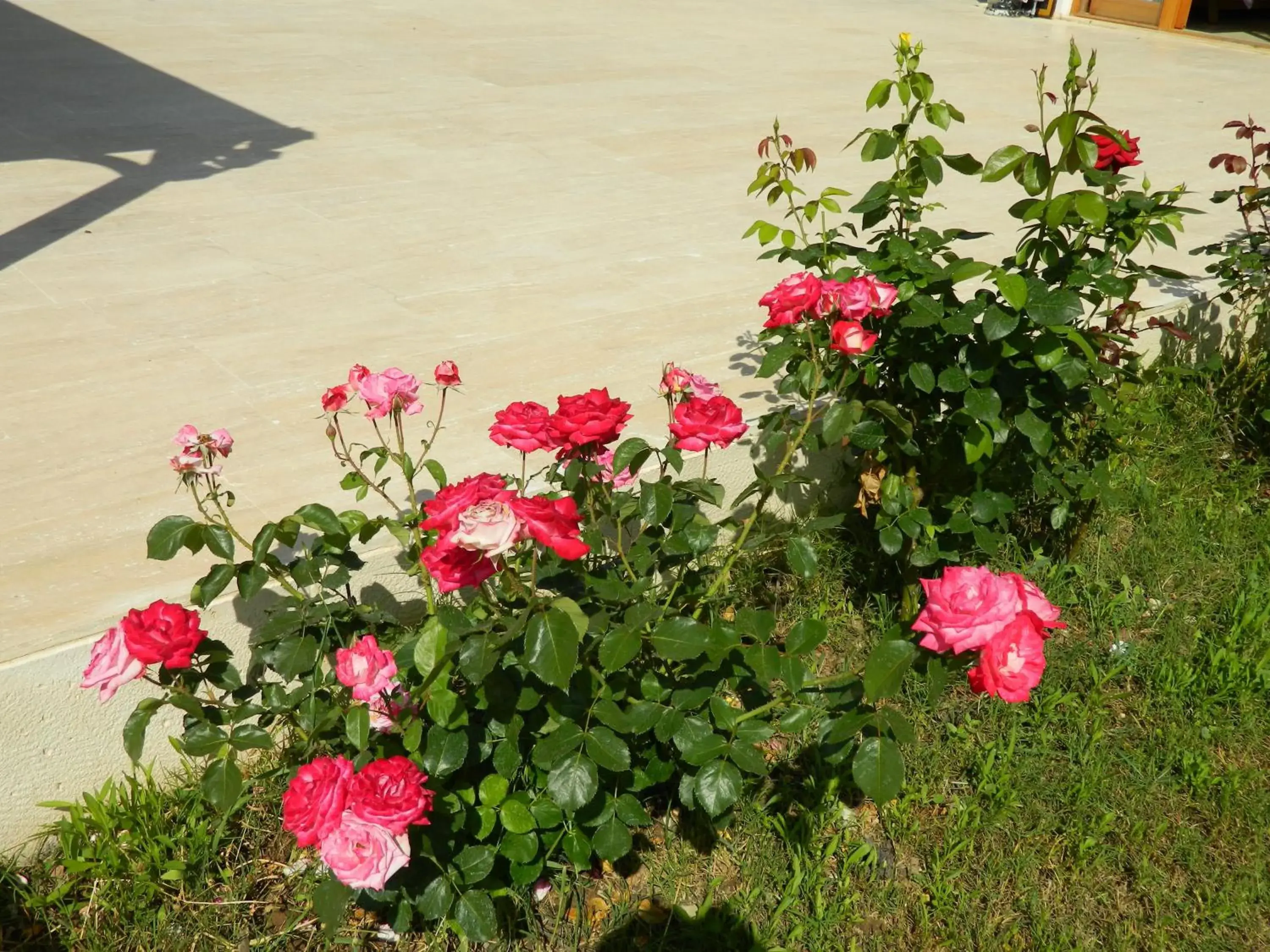 Decorative detail in Yonca Hotel Decorative detail in Yonca Hotel