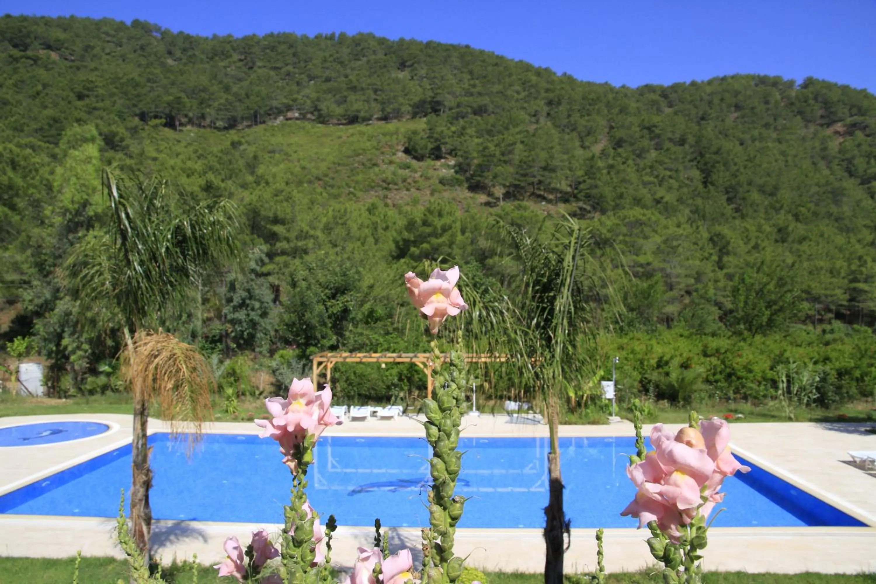 Balcony/Terrace in Yonca Hotel