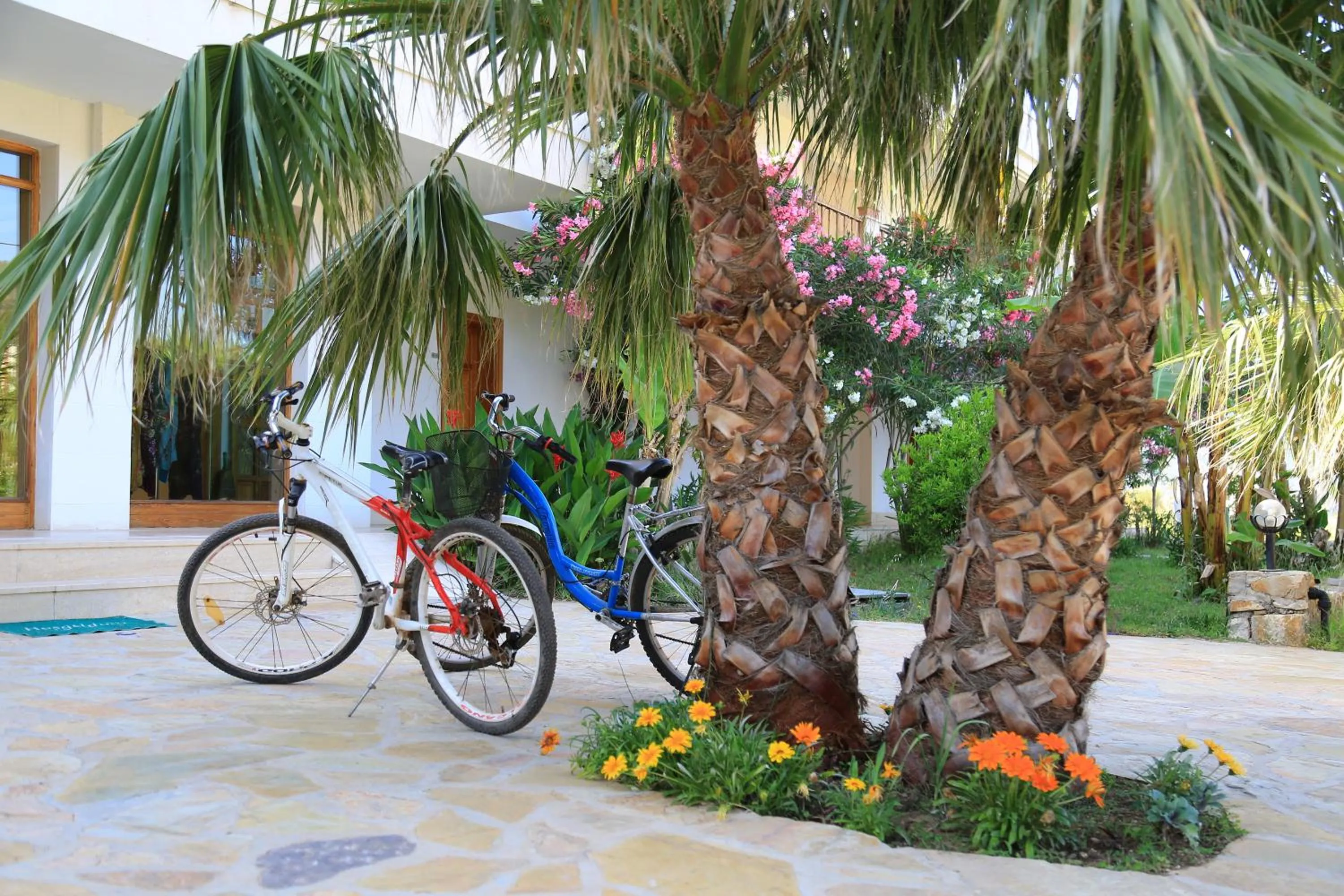 Garden in Yonca Hotel