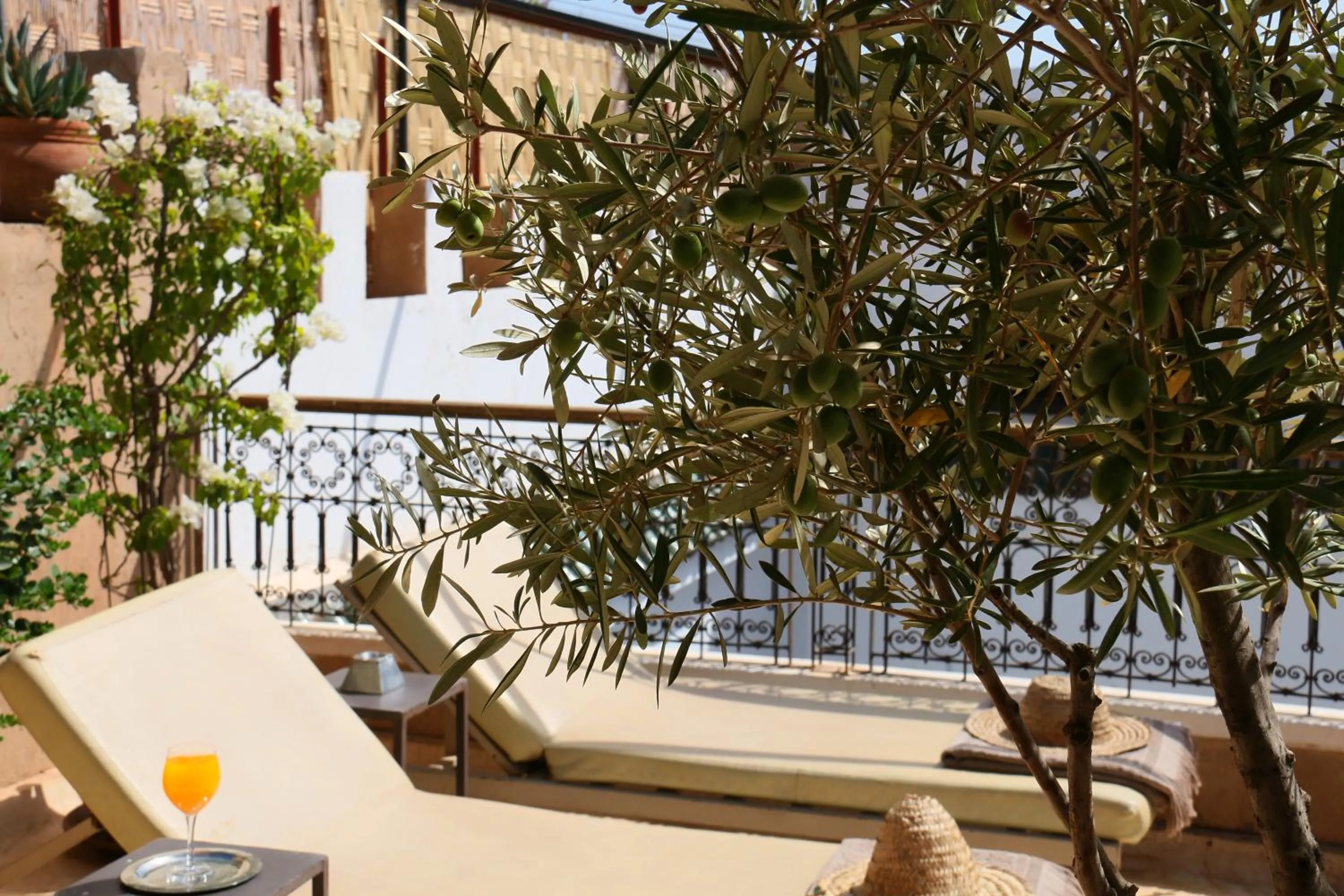 Balcony/Terrace in Riad Dar Massai