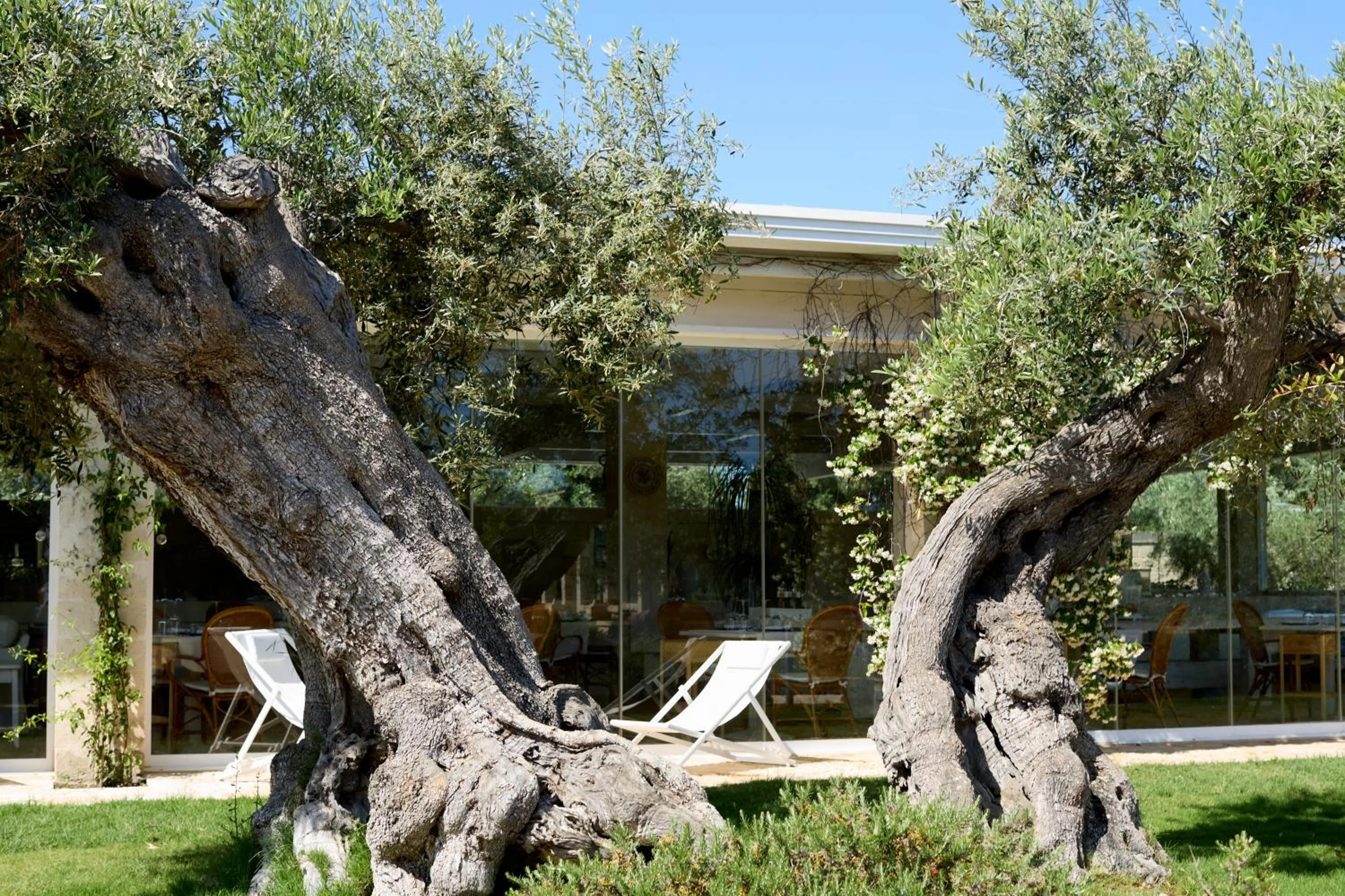 Property building in Masseria Torre Del Diamante