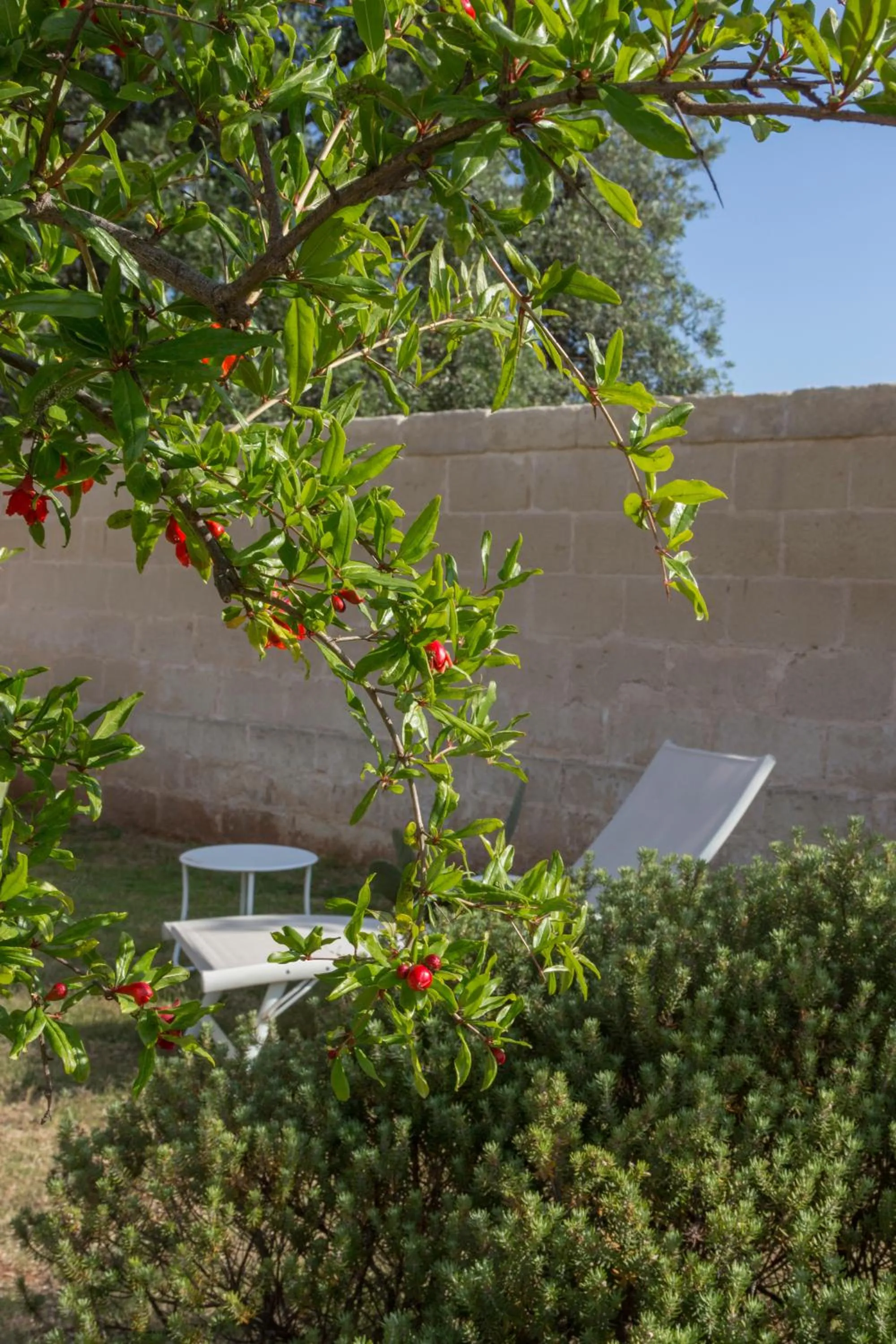 Property building in Masseria Torre Del Diamante