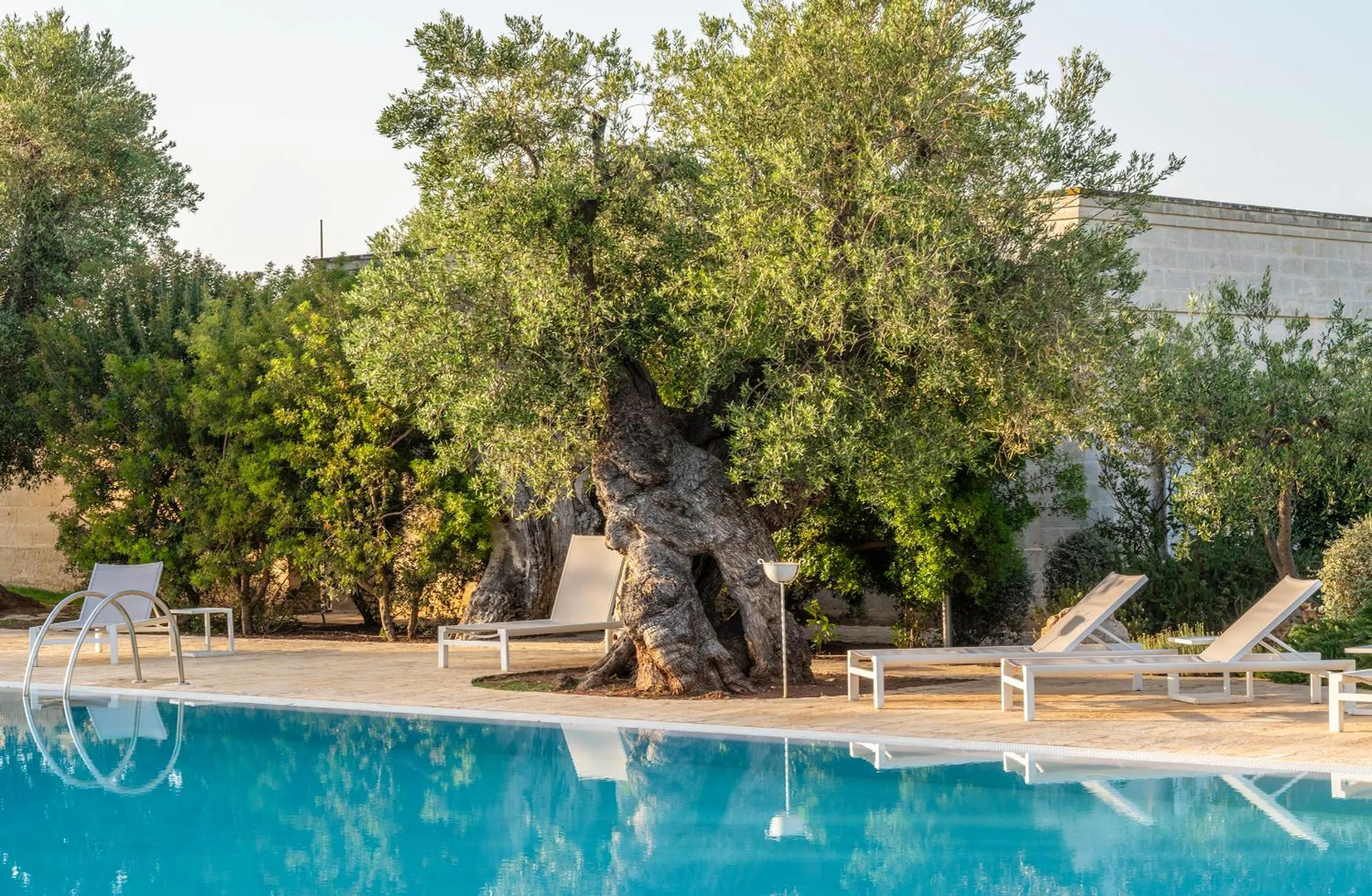Swimming pool in Masseria Torre Del Diamante