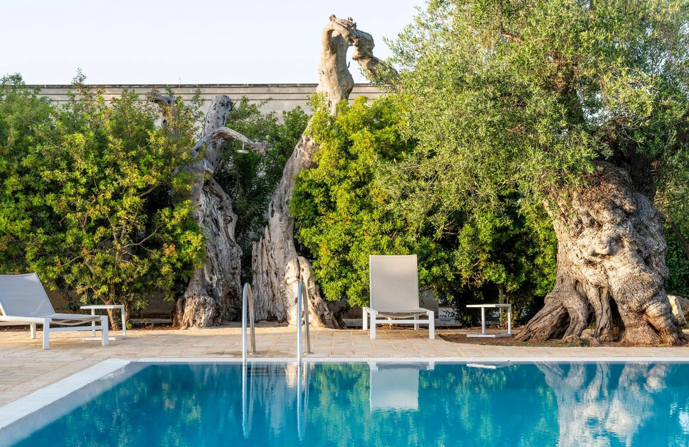 Swimming pool in Masseria Torre Del Diamante