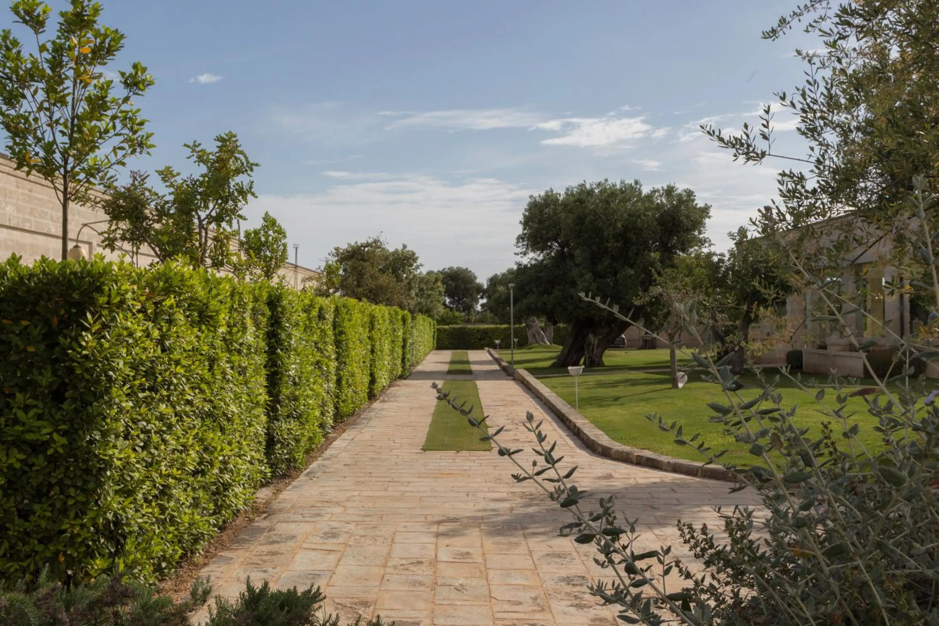Garden in Masseria Torre Del Diamante