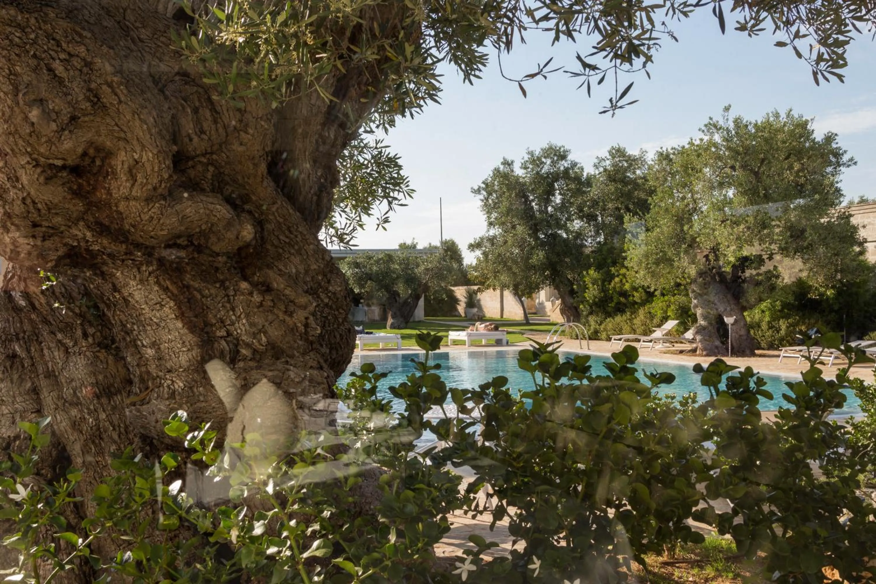 Pool view in Masseria Torre Del Diamante