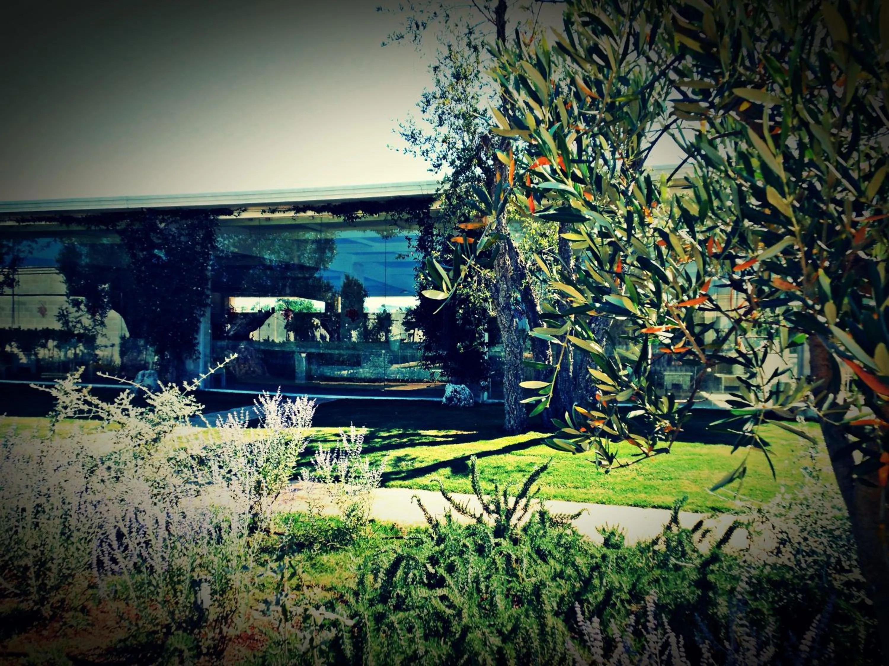 Day in Masseria Torre Del Diamante