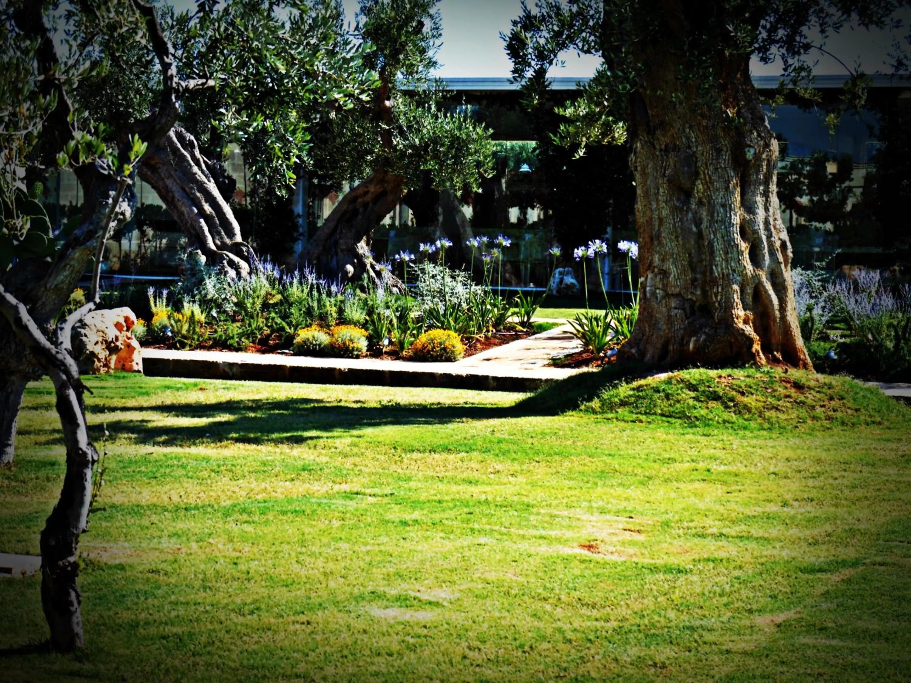 Garden in Masseria Torre Del Diamante