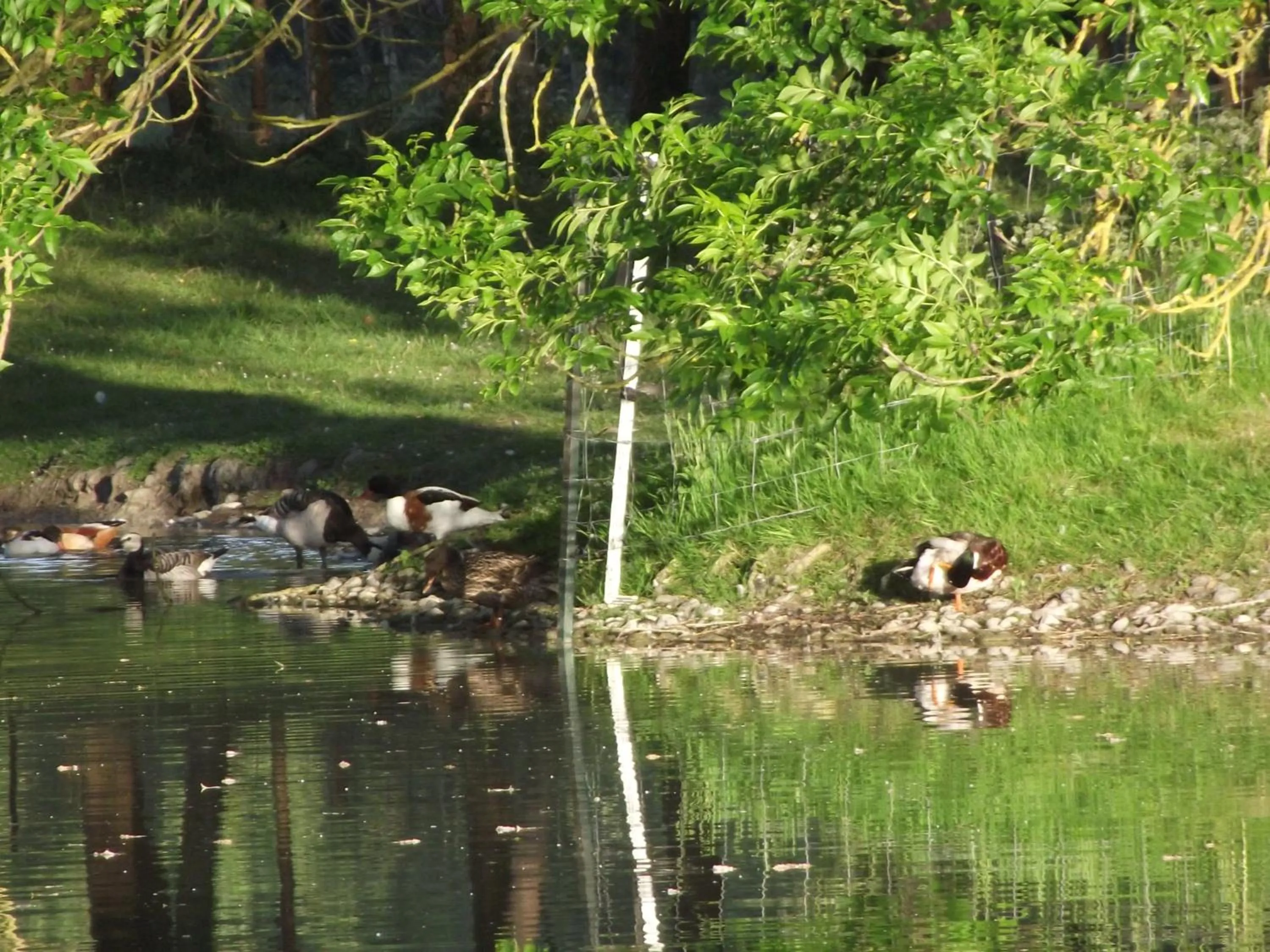 Les Portes des Froises