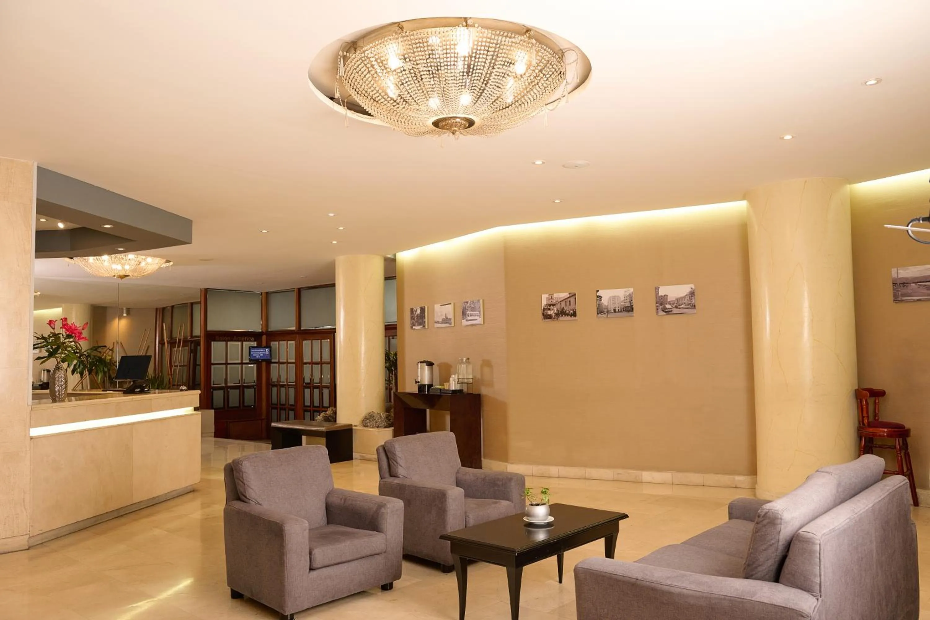 Area and facilities in Hotel Dann Av. 19