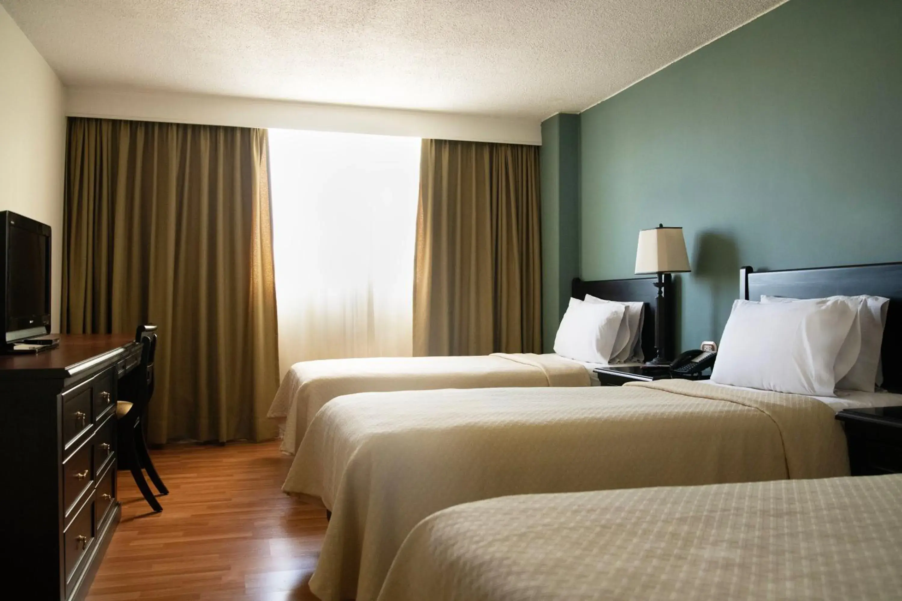 Photo of the whole room, Bed in Hotel Dann Av. 19 Photo of the whole room, Bed in Hotel Dann Av. 19