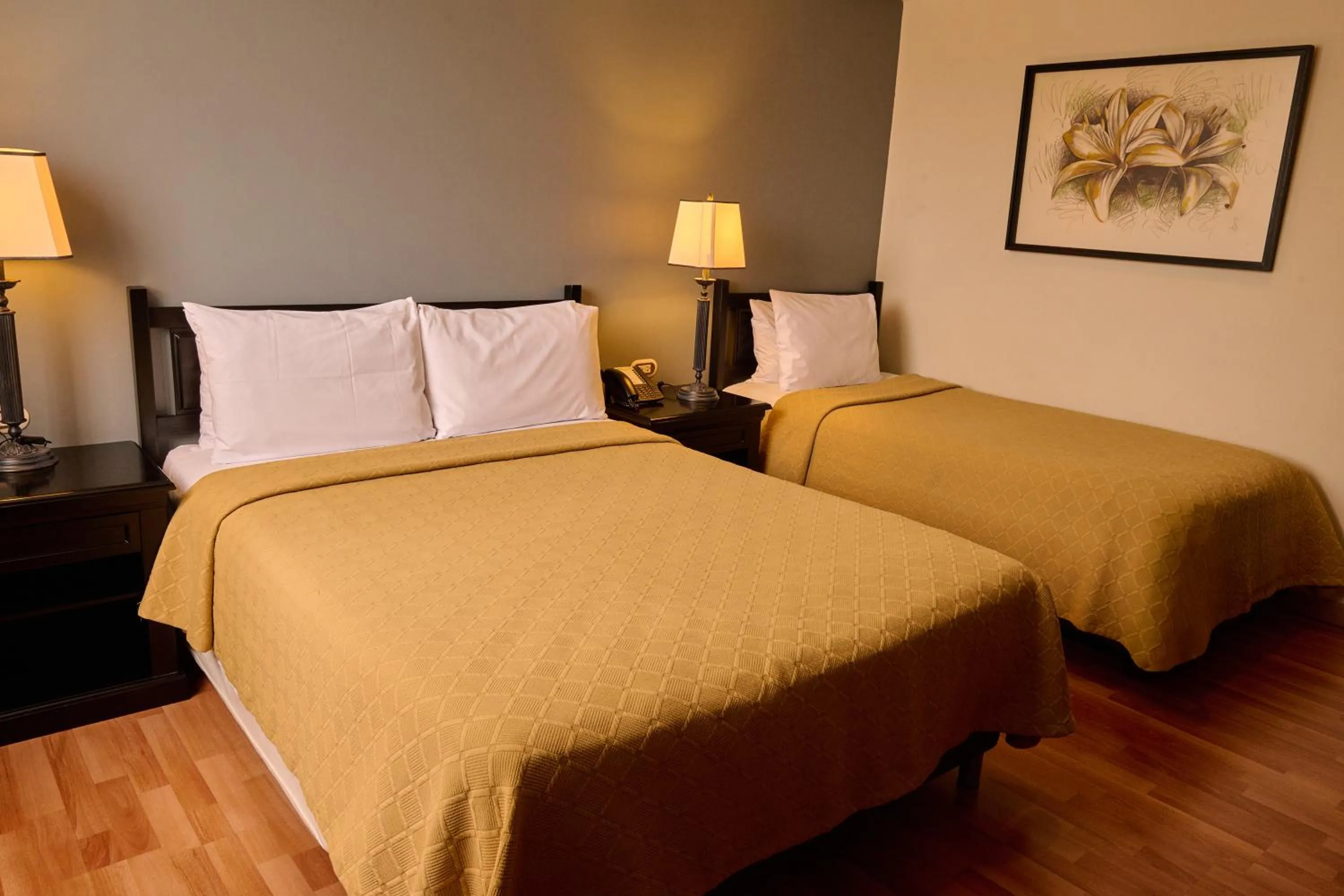 Decorative detail, Bed in Hotel Dann Av. 19