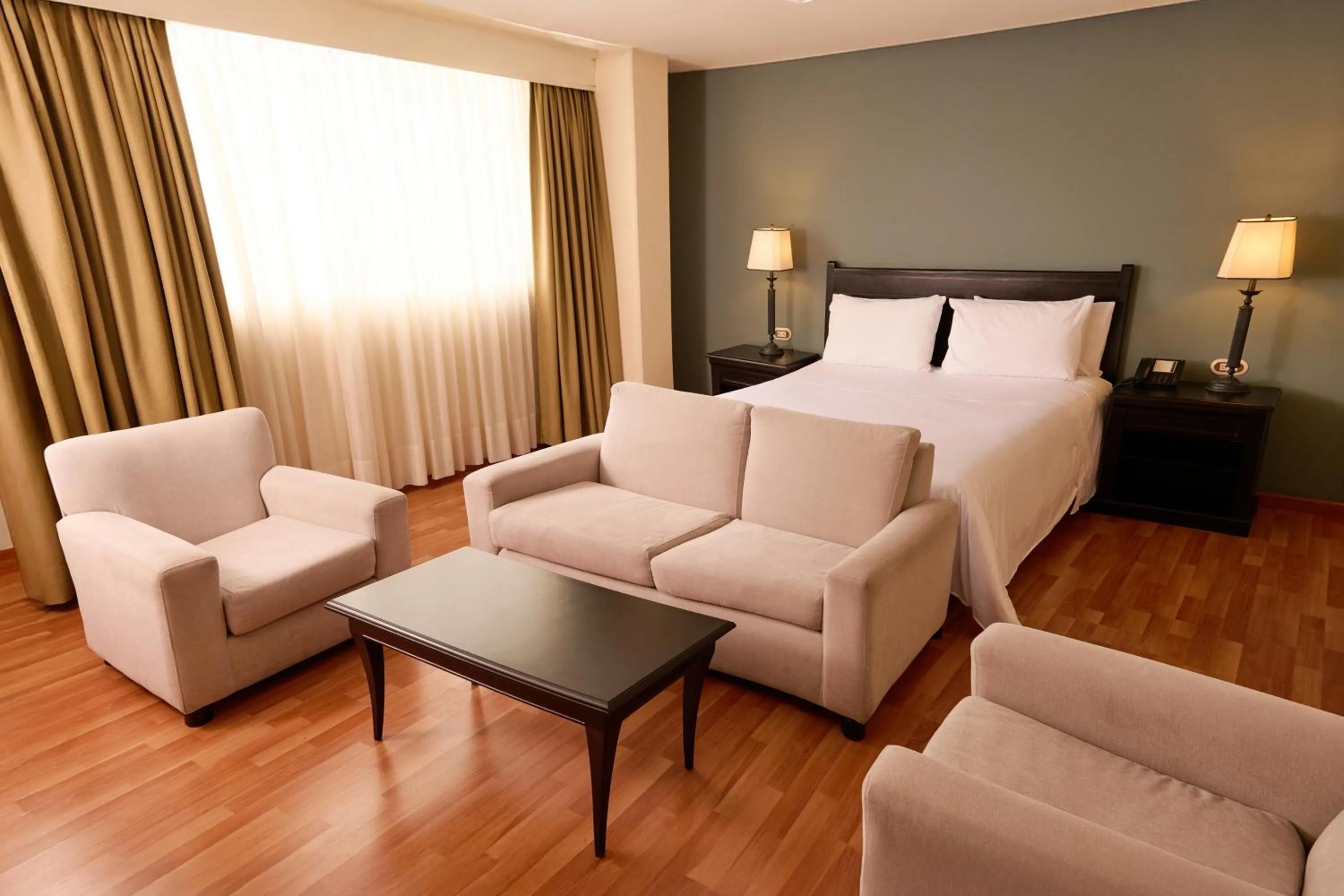 Photo of the whole room in Hotel Dann Av. 19