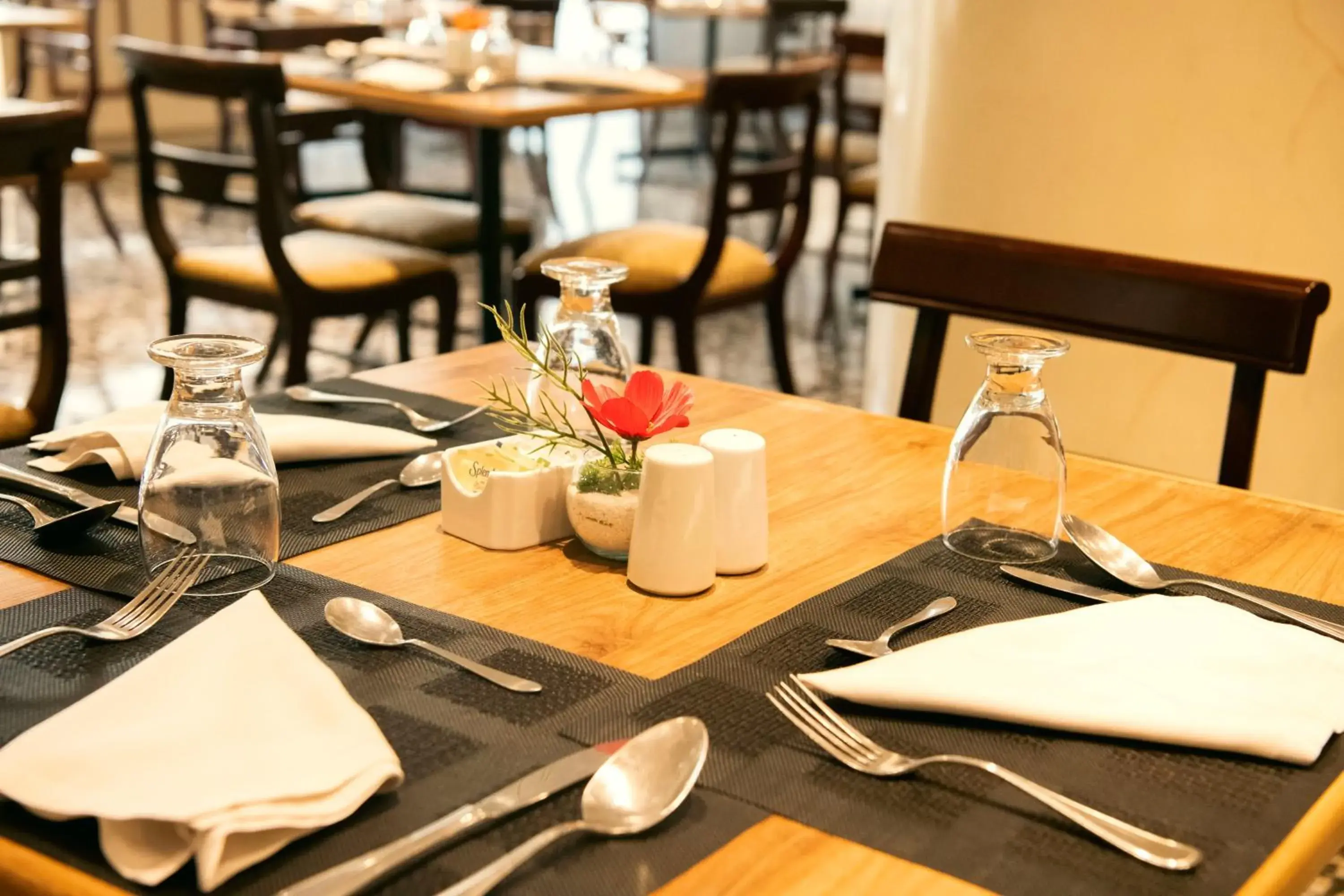 Restaurant/places to eat in Hotel Dann Av. 19 Restaurant/places to eat in Hotel Dann Av. 19