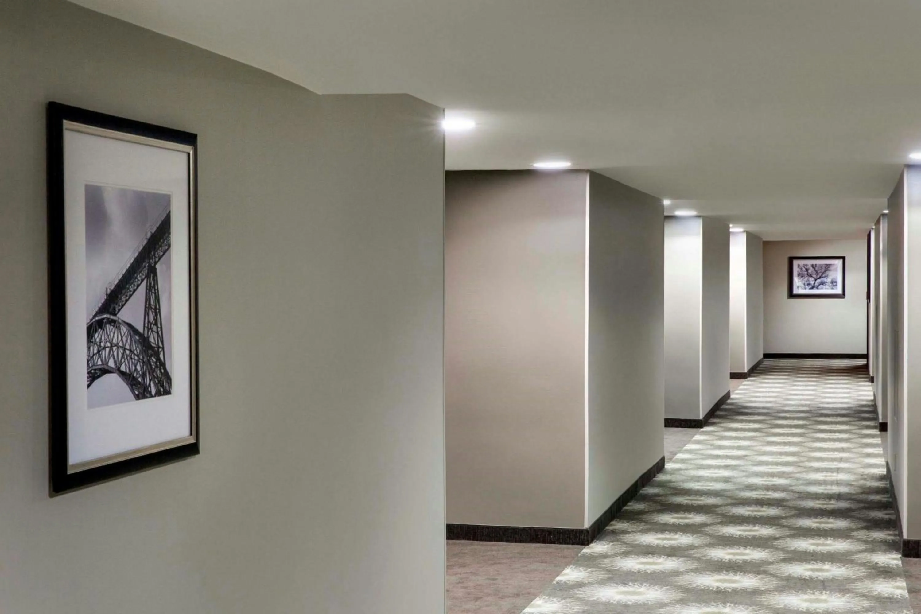 View (from property/room) in Peachtree Hotel Midtown Atlanta