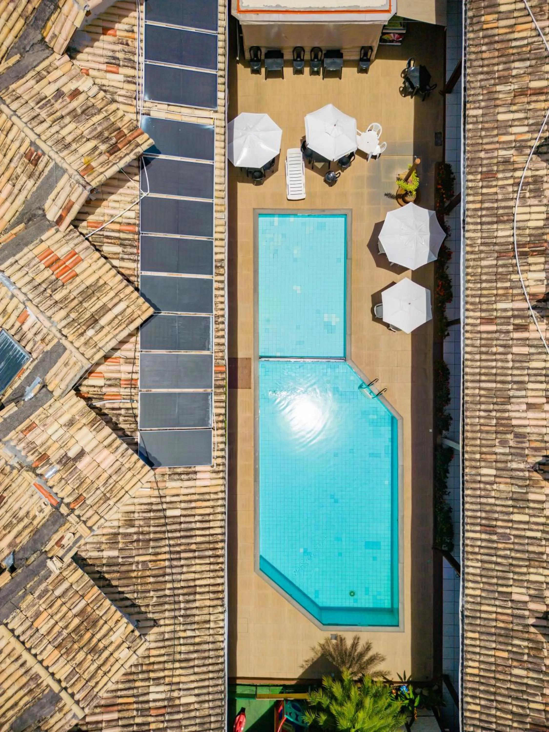 Pool view in Hotel Adriattico
