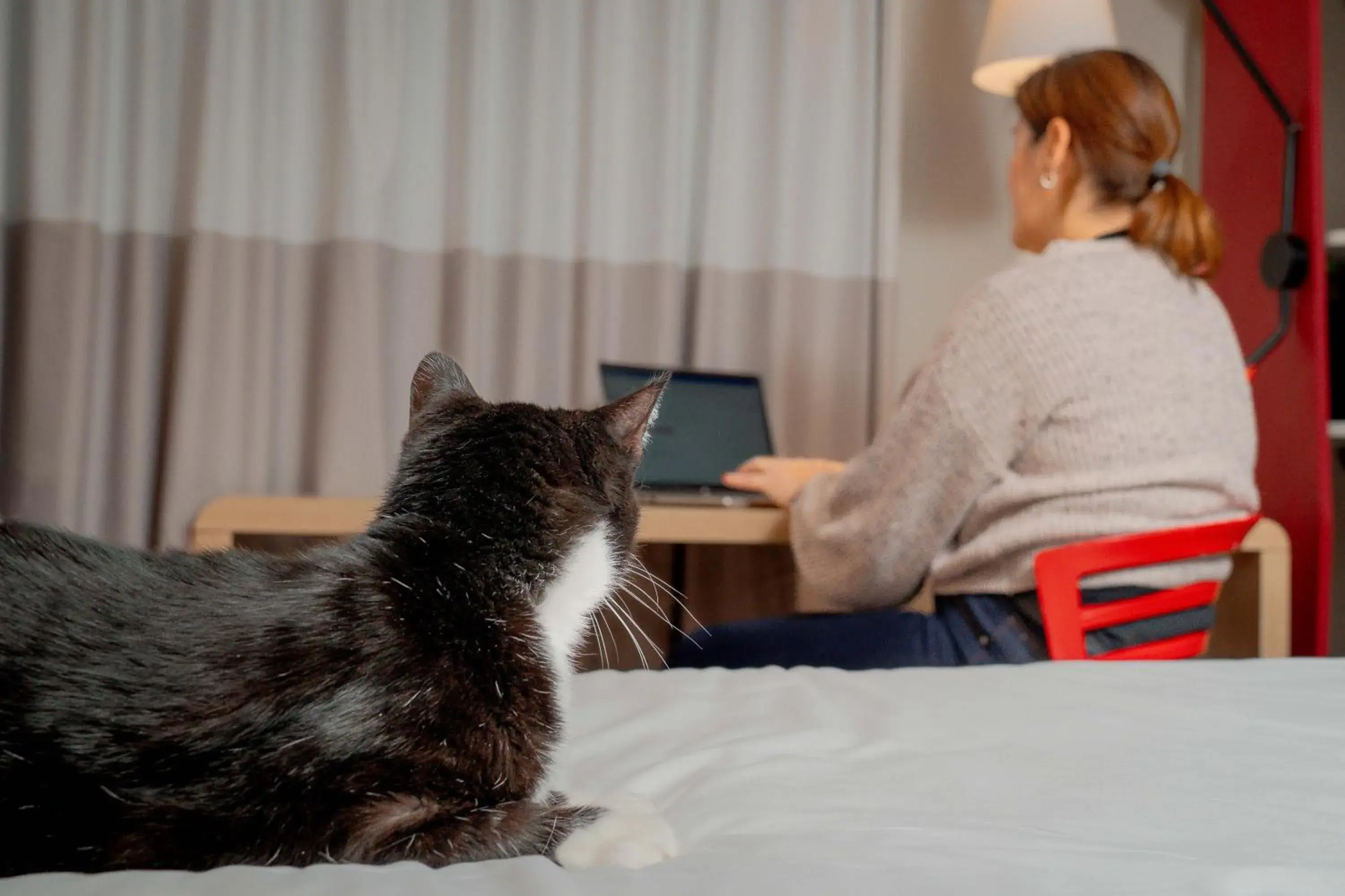 Property building in ibis Copiapo Property building in ibis Copiapo