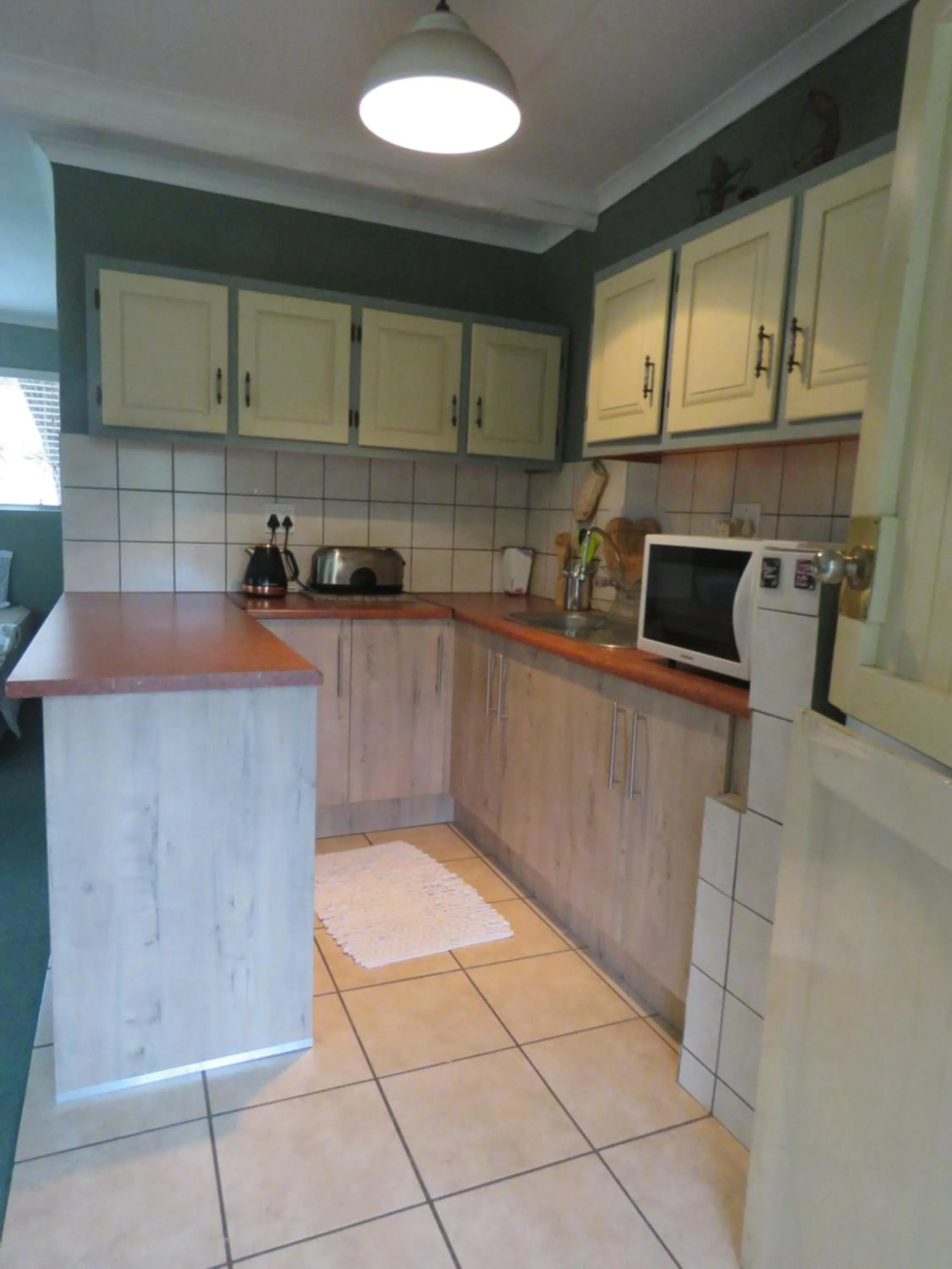 Kitchen or kitchenette in Nightjar Guest Lodge