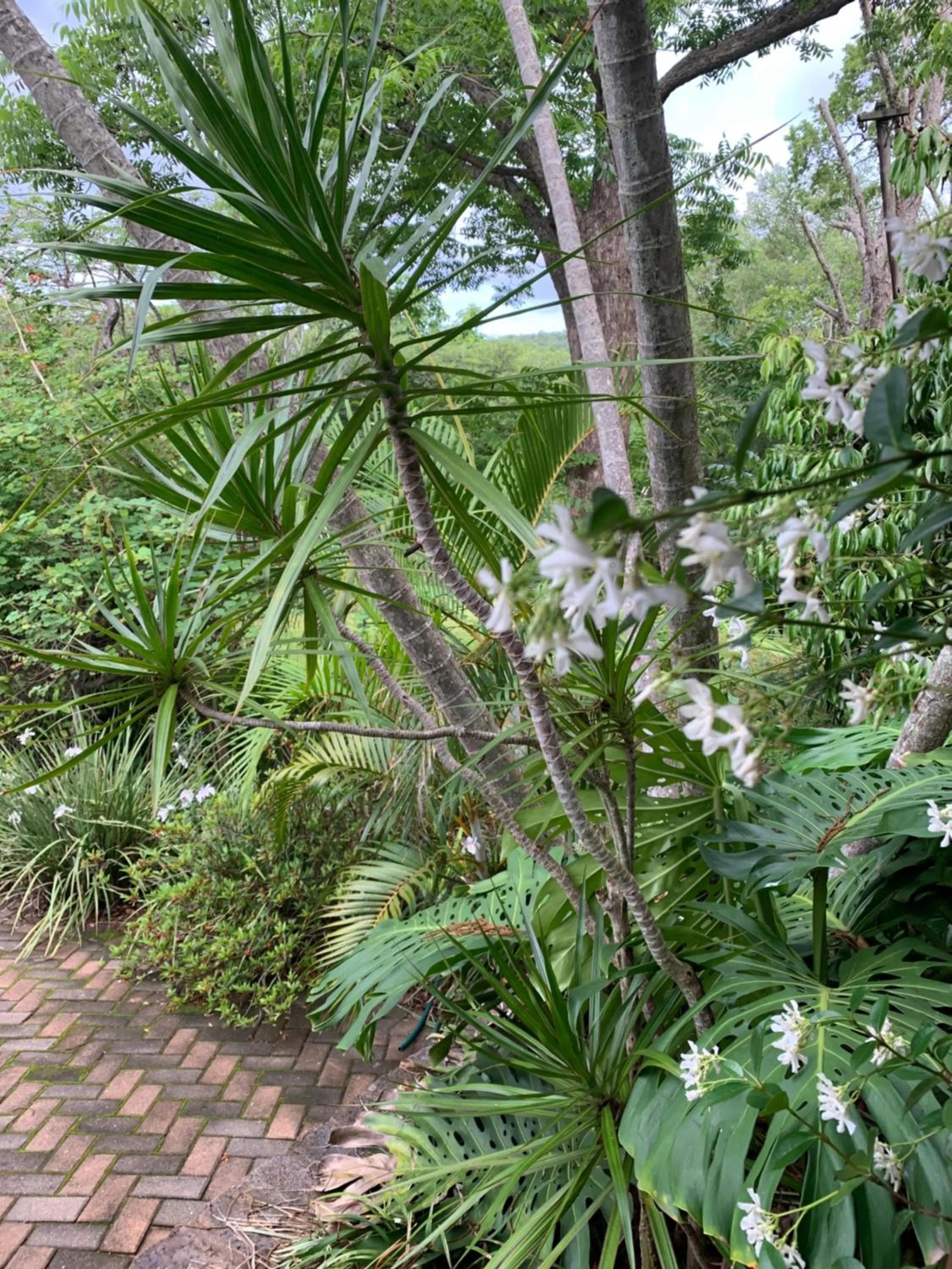 Garden view in Nightjar Guest Lodge