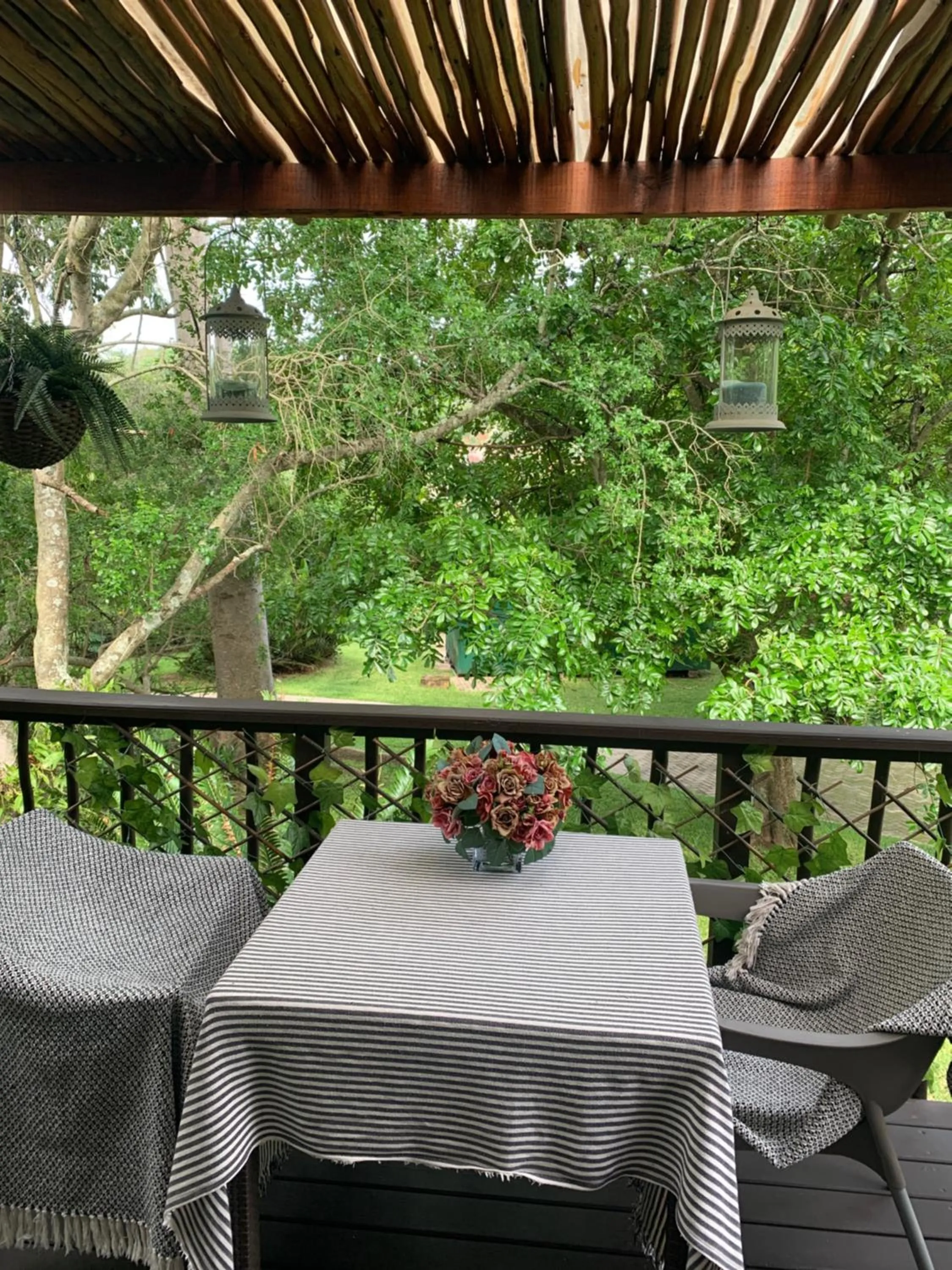 Garden view in Nightjar Guest Lodge