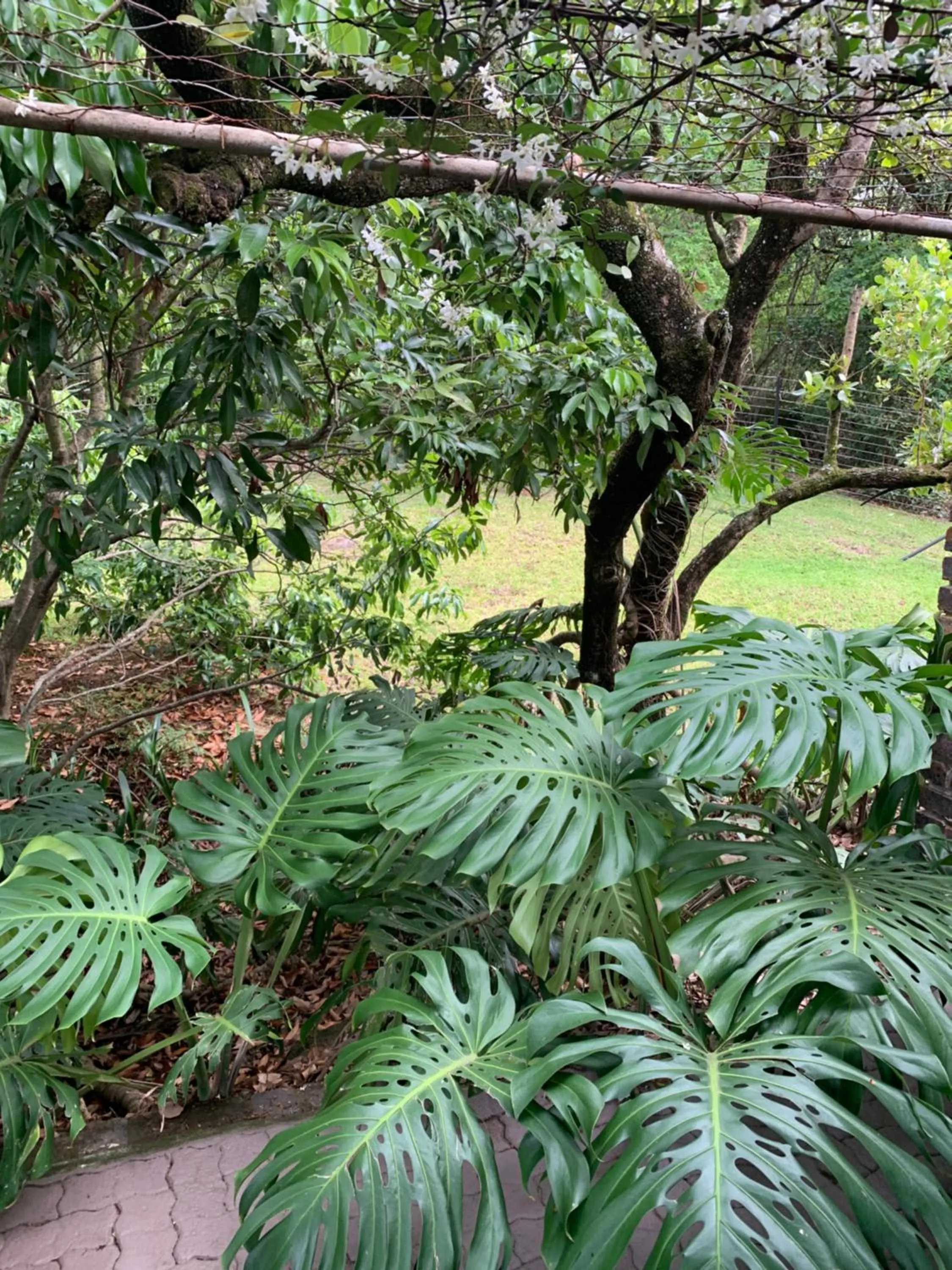 View (from property/room) in Nightjar Guest Lodge