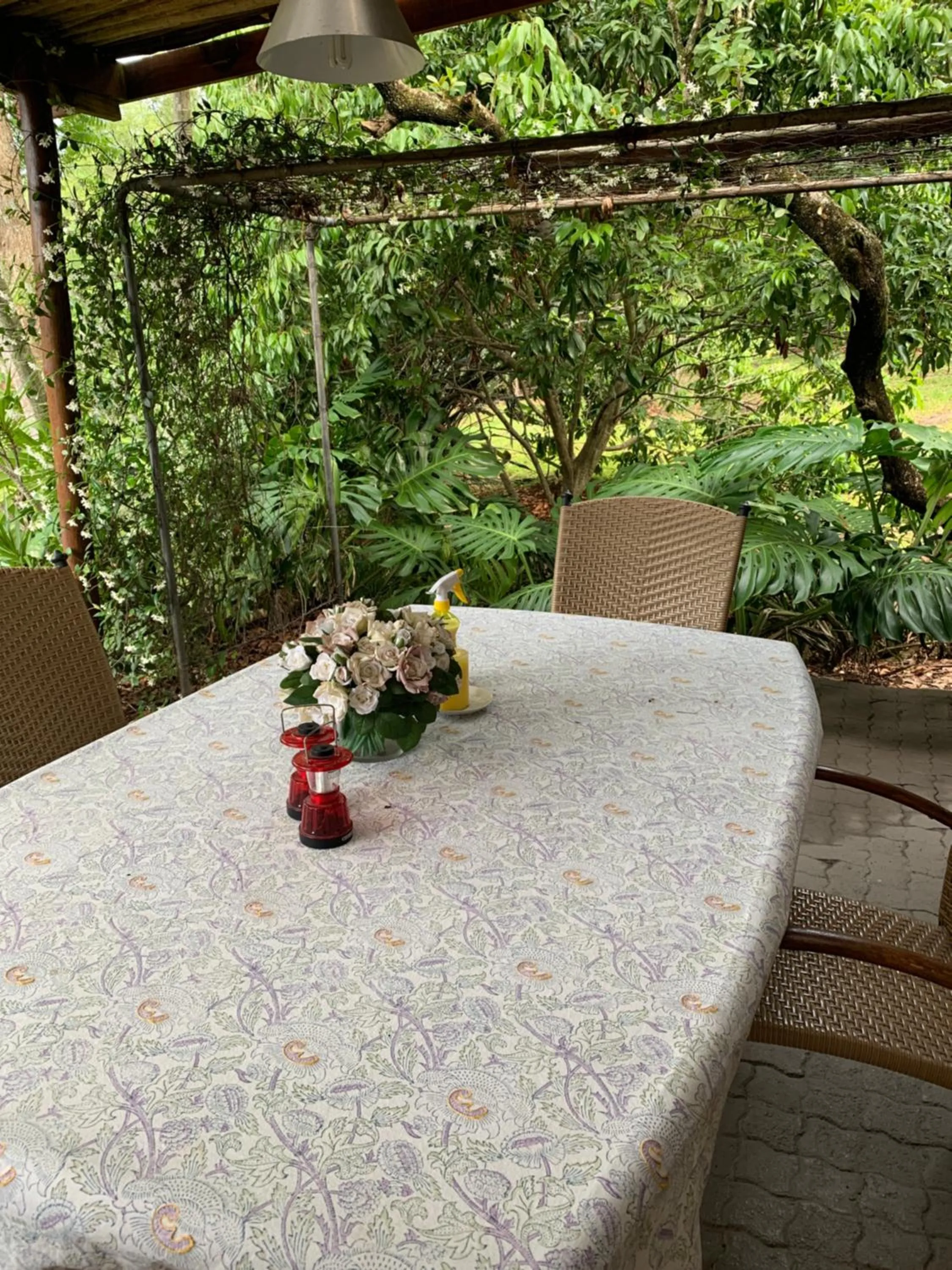 Balcony/Terrace in Nightjar Guest Lodge
