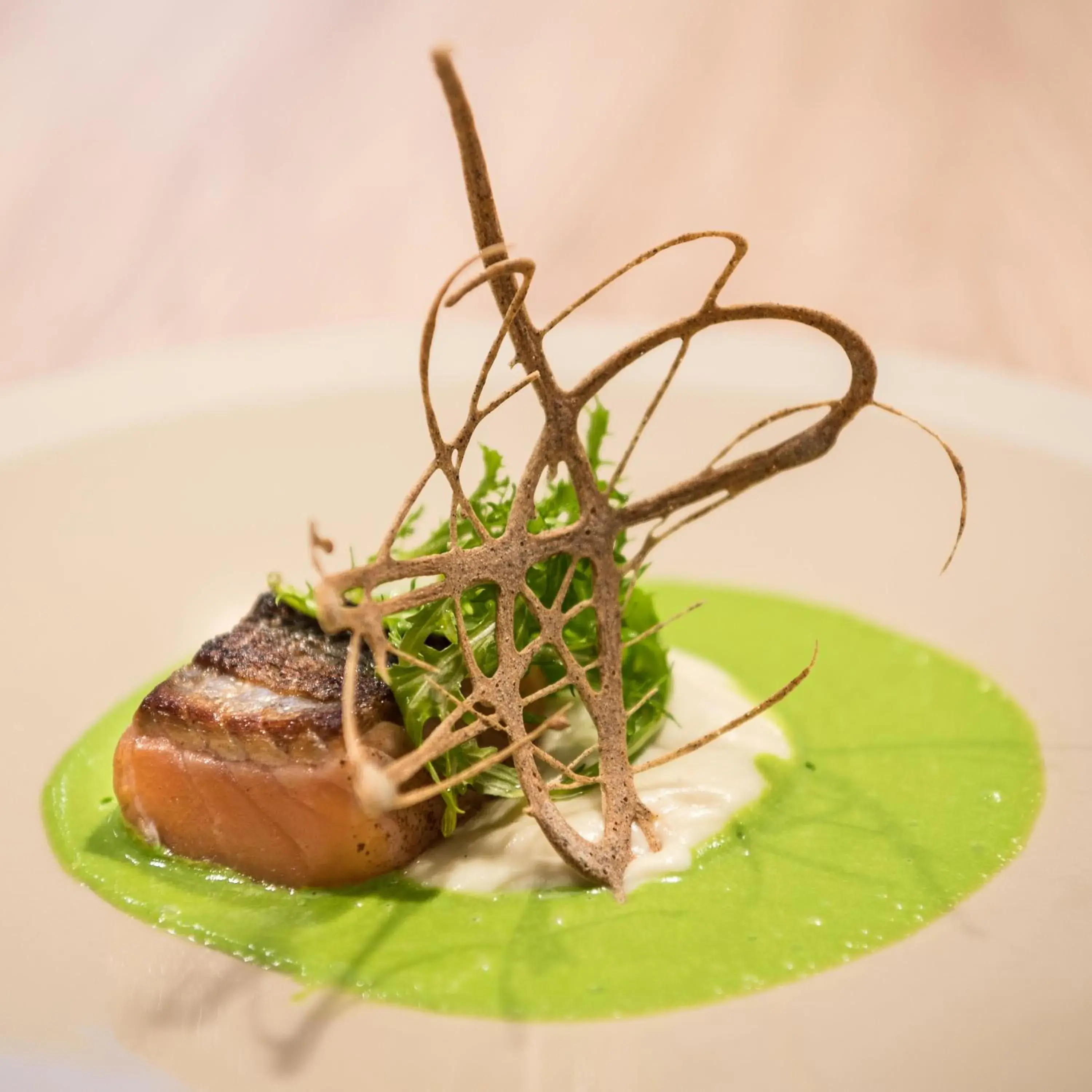 Restaurant/places to eat in Best Western Plus Villa Saint Antoine Hotel & Spa Restaurant/places to eat in Best Western Plus Villa Saint Antoine Hotel & Spa