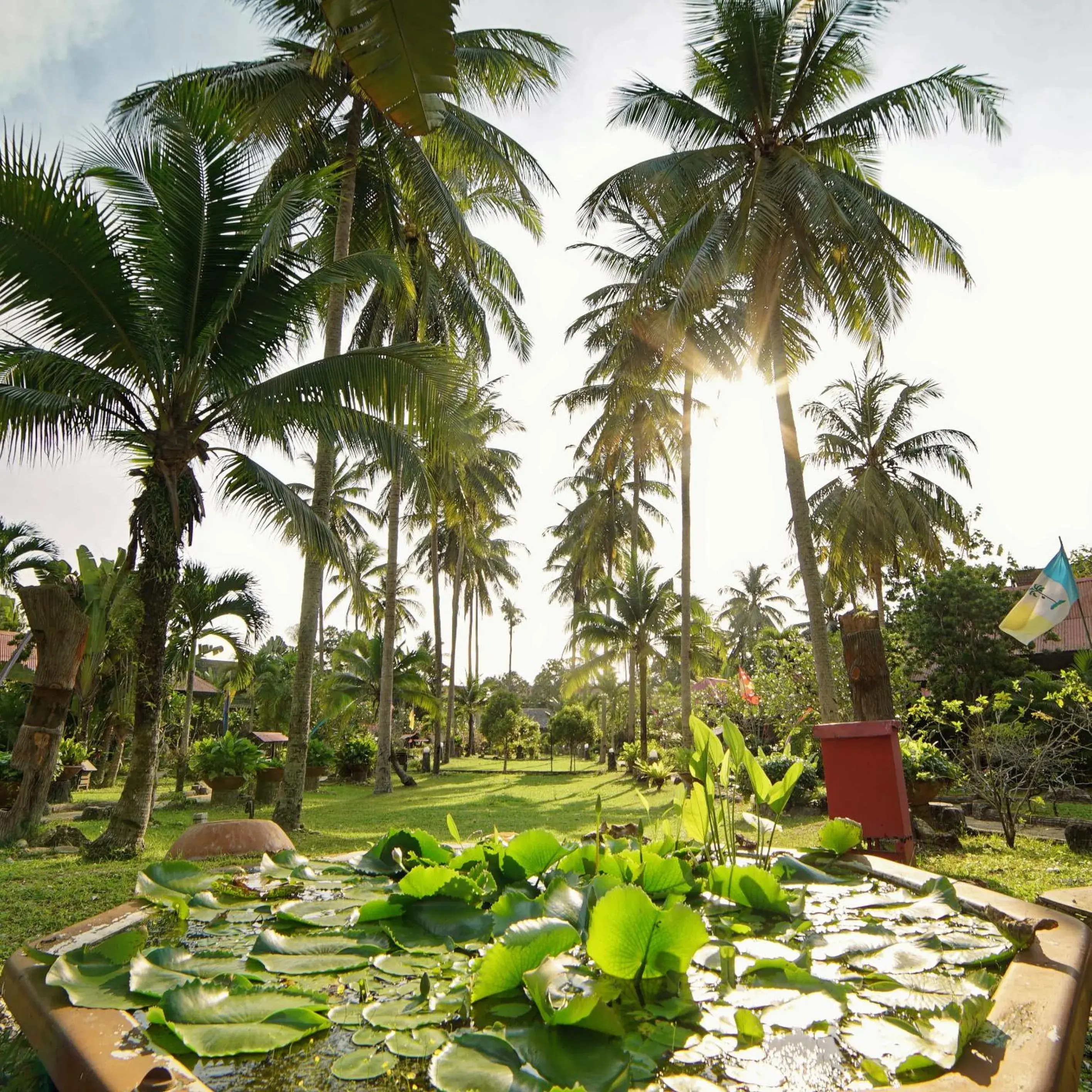 Garden in ViVilla by Holiday Villa Cherating Garden in ViVilla by Holiday Villa Cherating