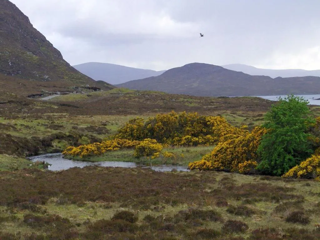 Natural landscape in Sandwick Bay Guest House
