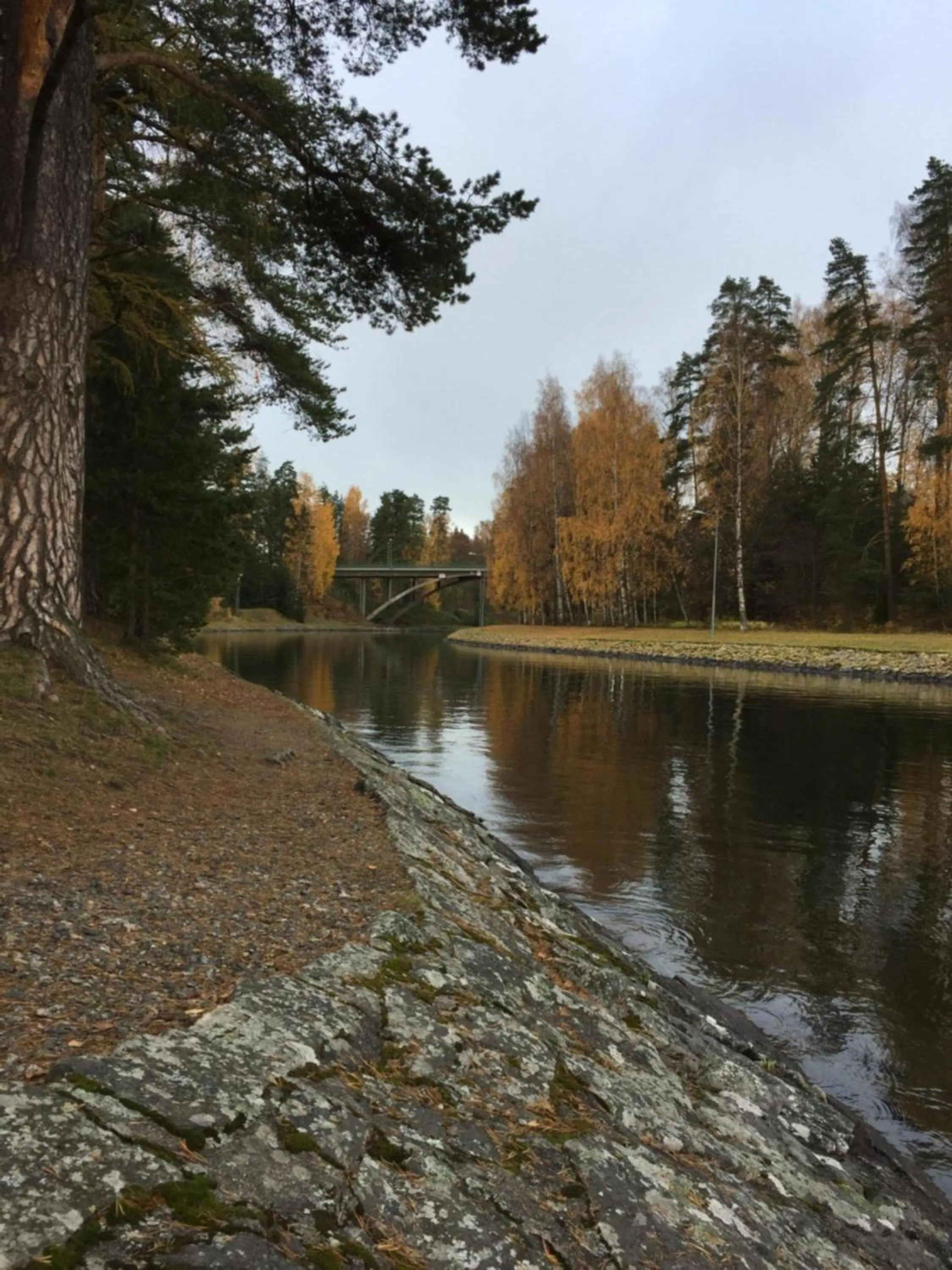 Hotel & Hostel Tallukka