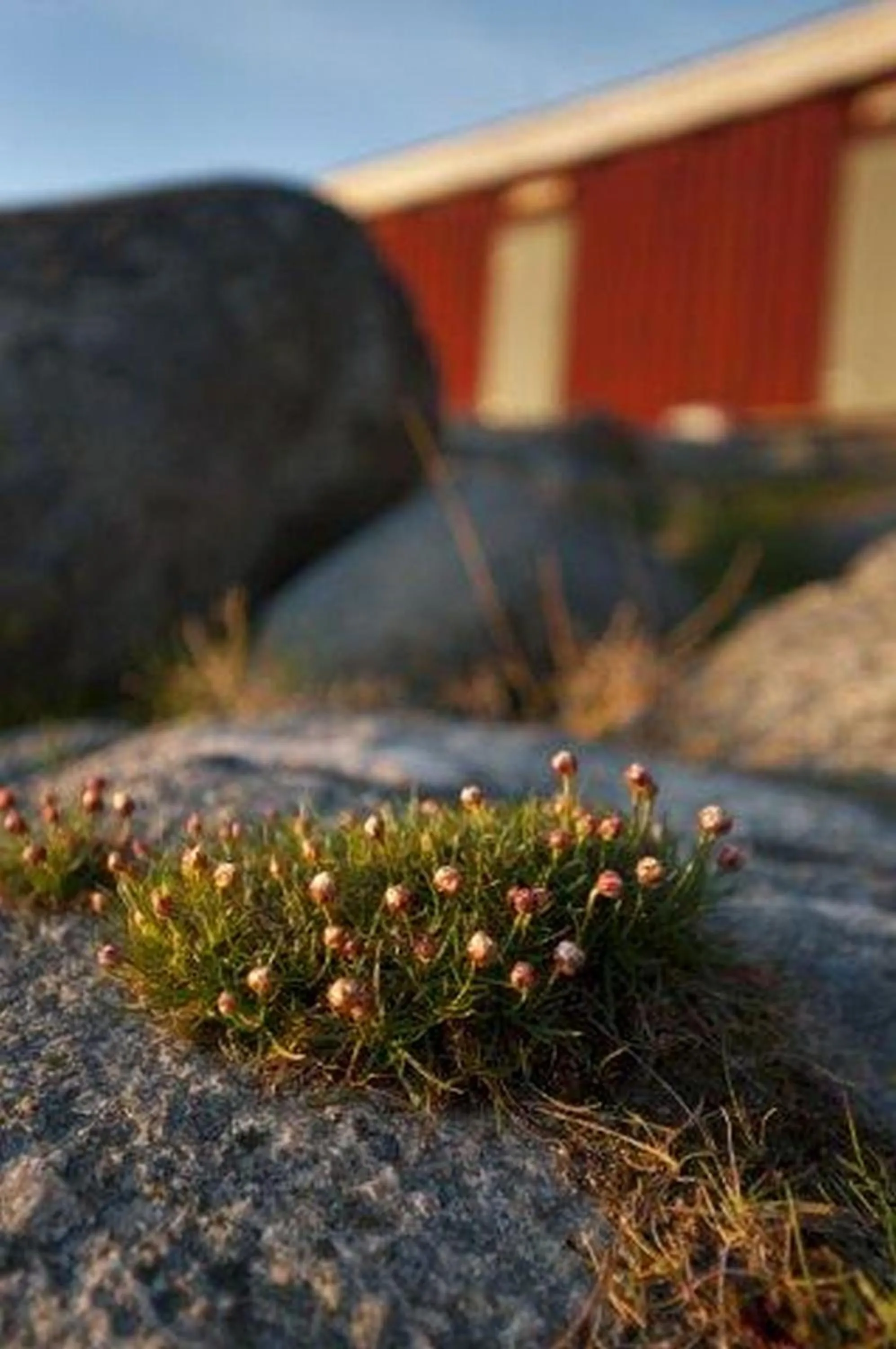 Summer in Åh Stifts- & Konferensgård