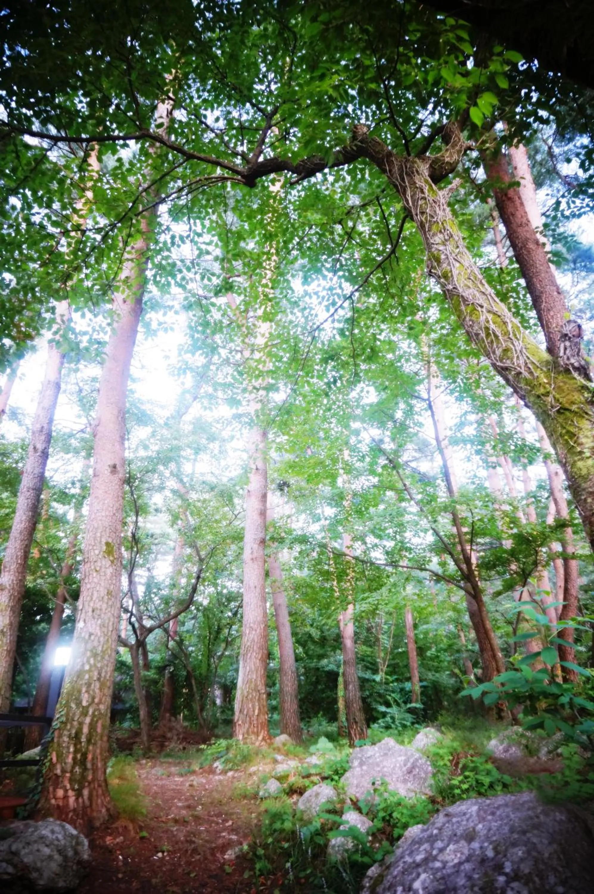 Property building in White House