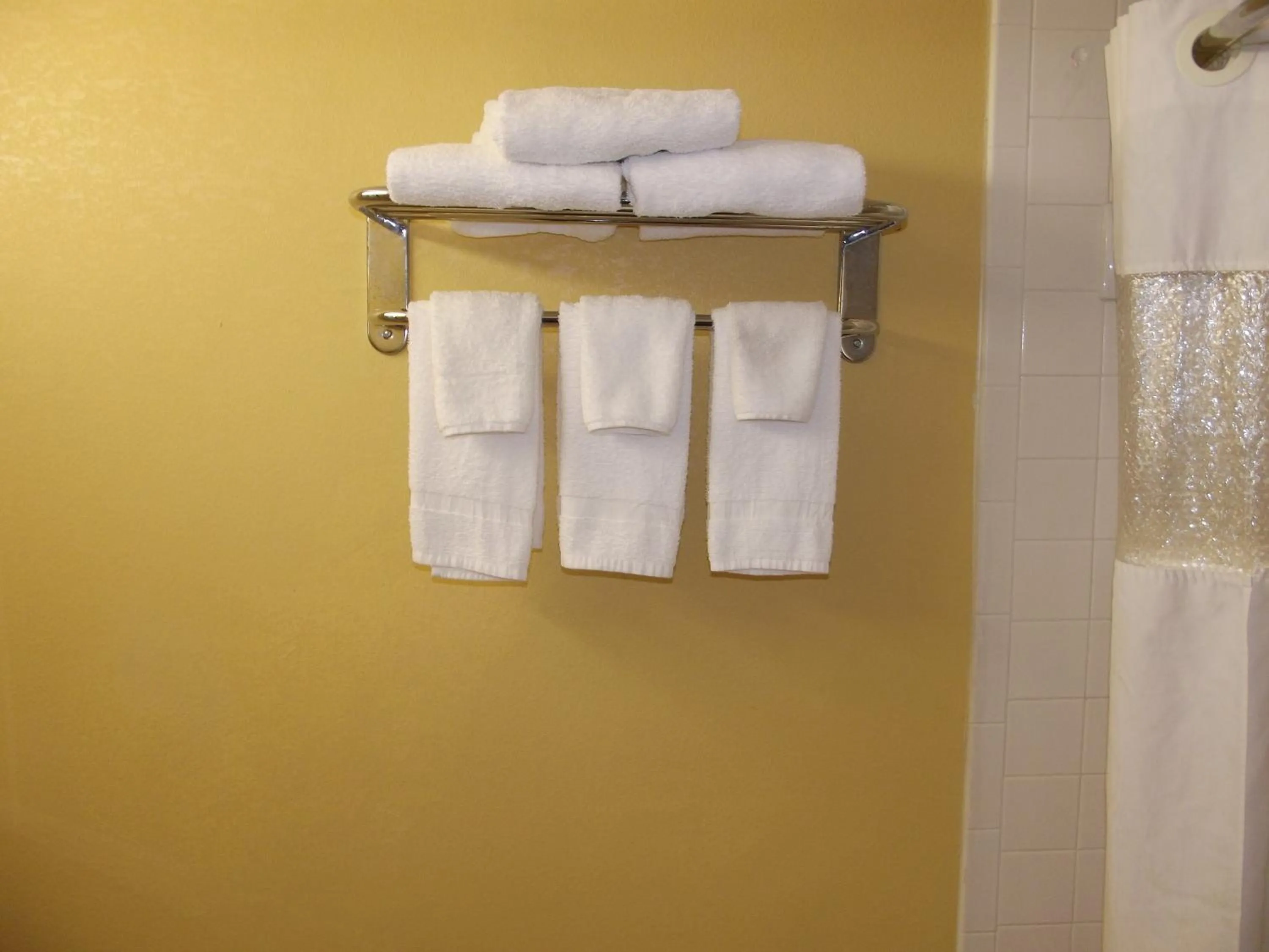 Shower in Ambassadors Inn & Suites