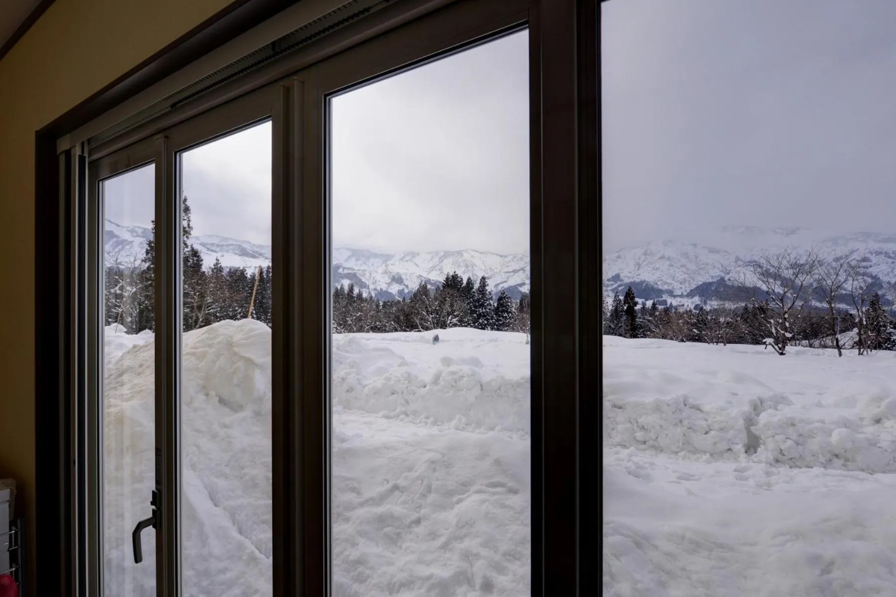 View (from property/room) in Lodge B&W