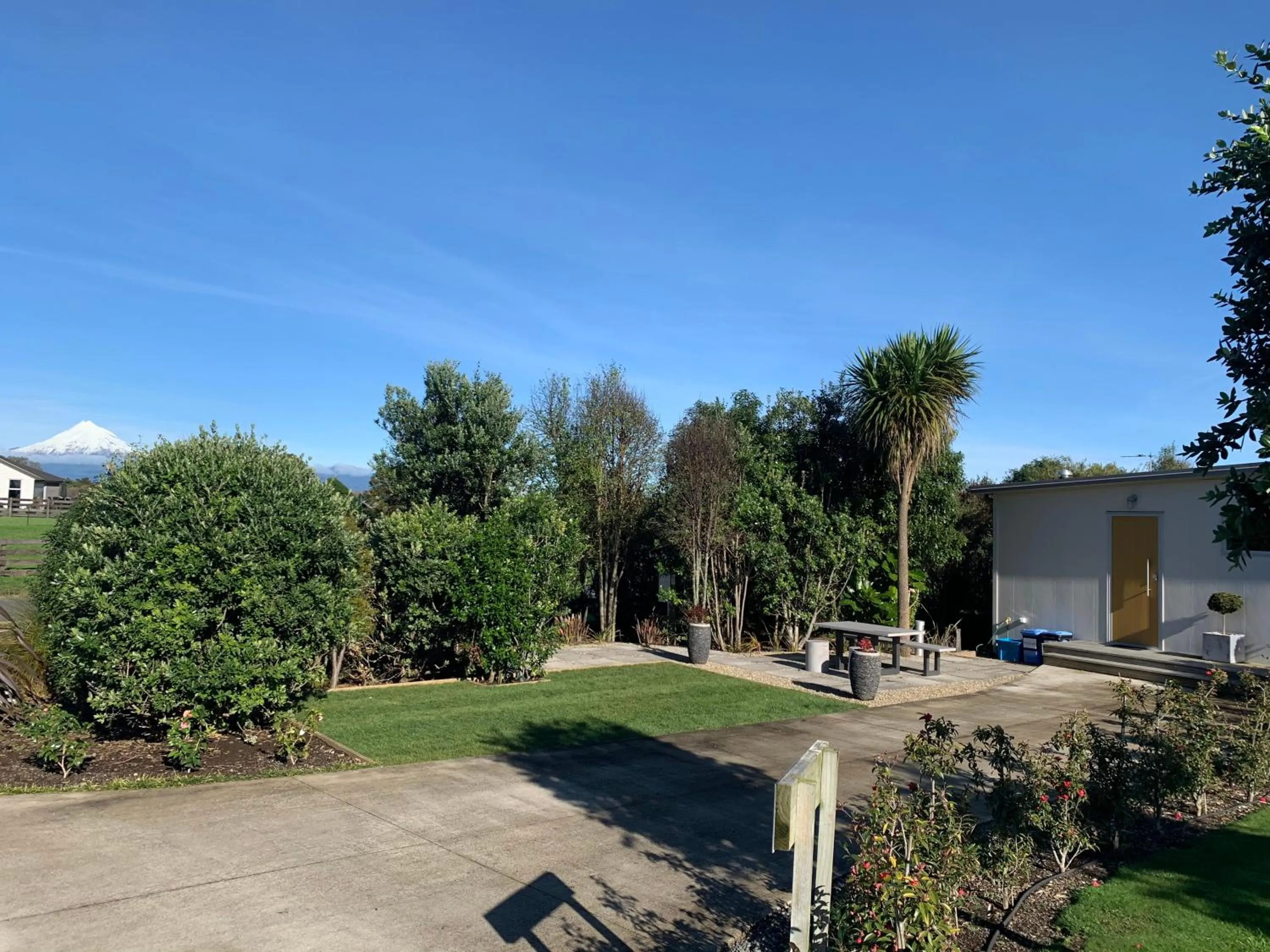 Garden in Aviator