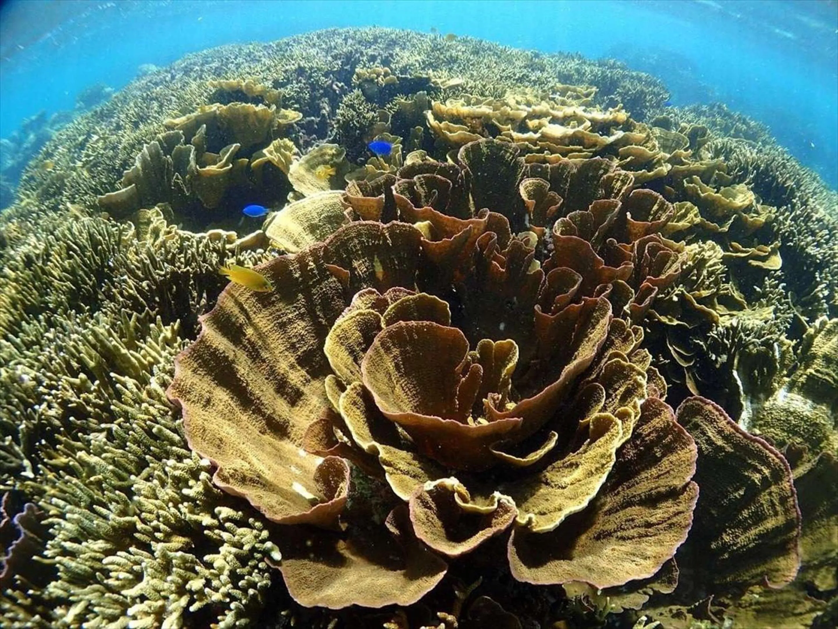 Beach in Hotel Locus
