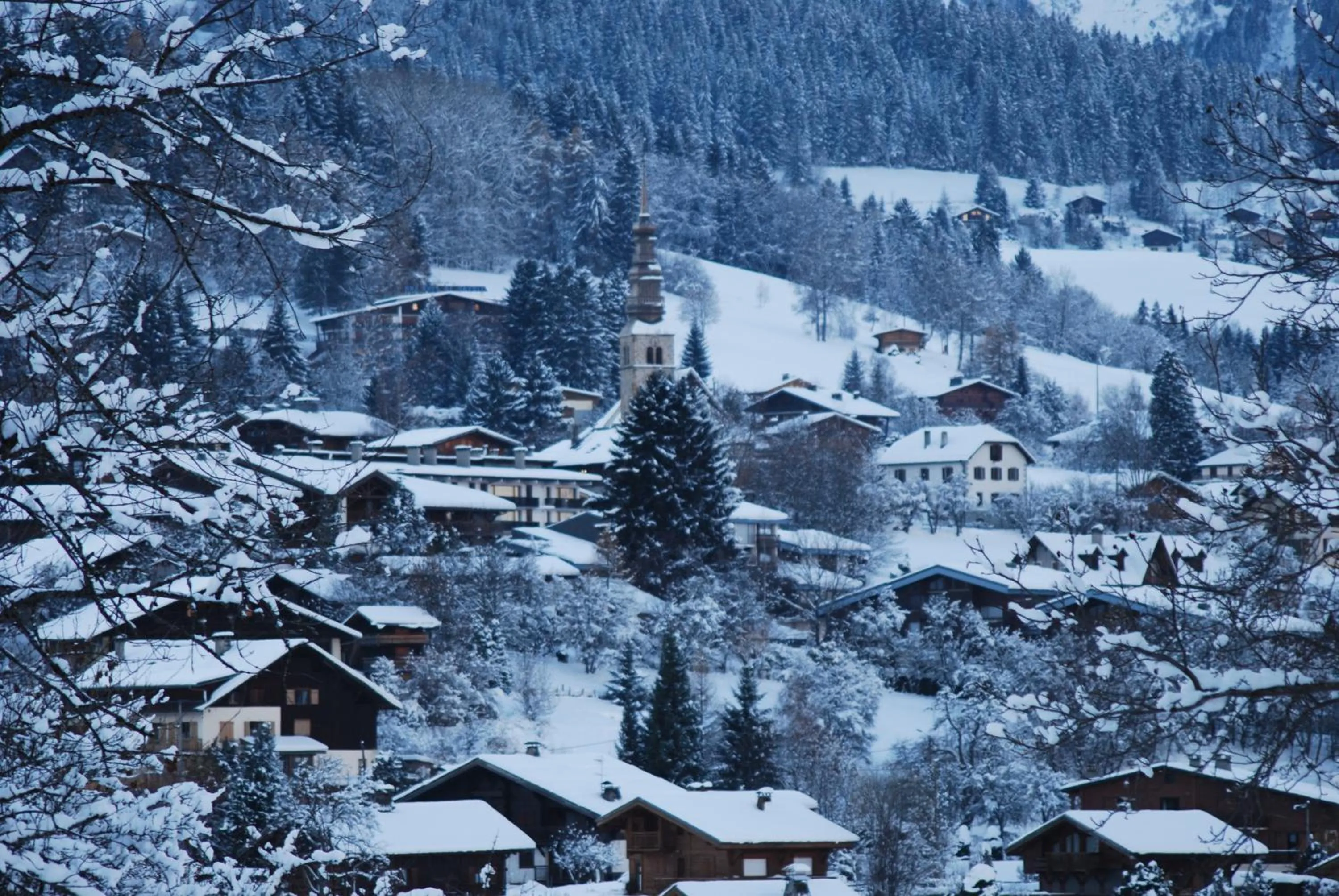 La ferme du Mont-Blanc