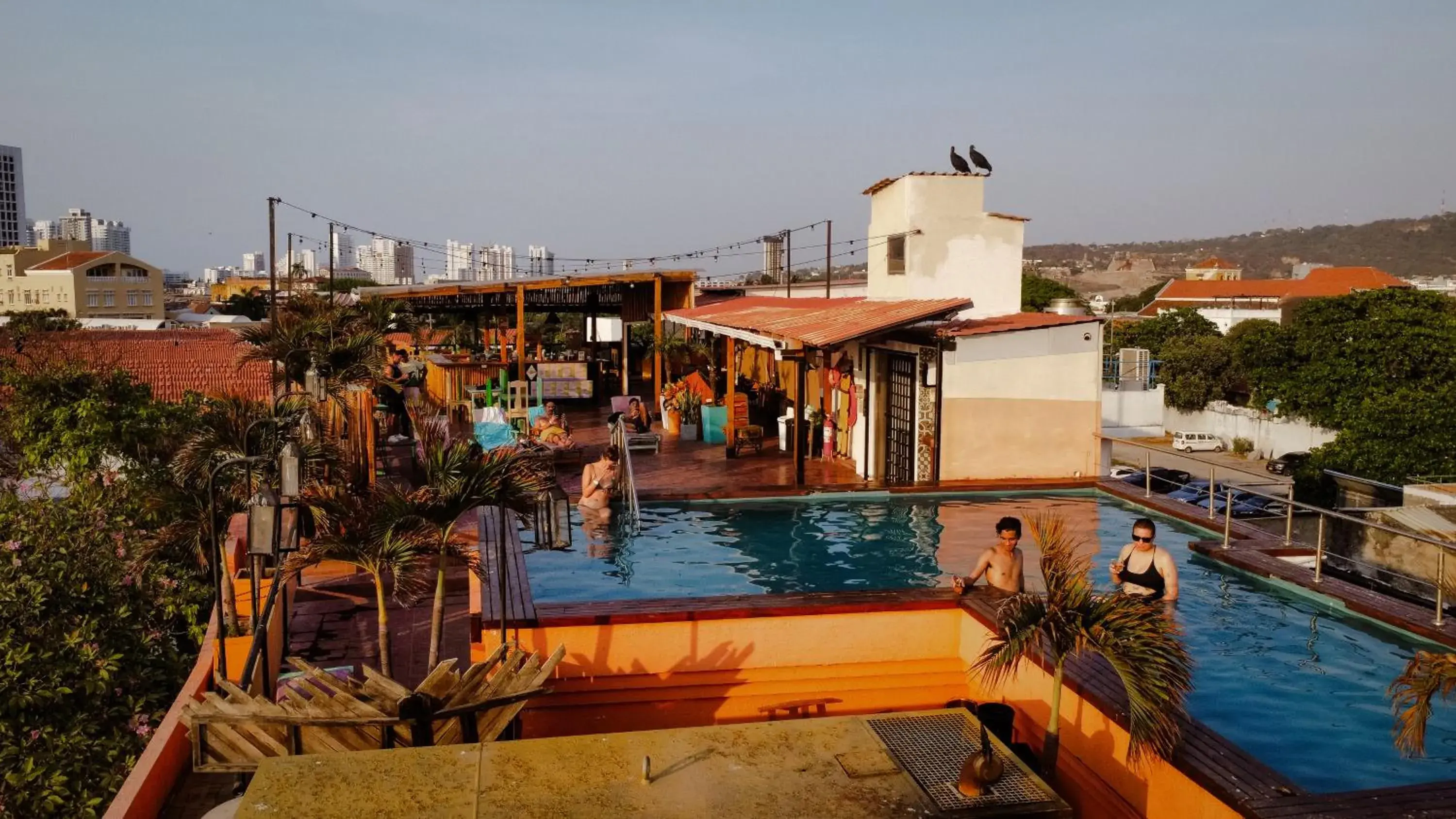 Pool view in Selina Cartagena Pool view in Selina Cartagena