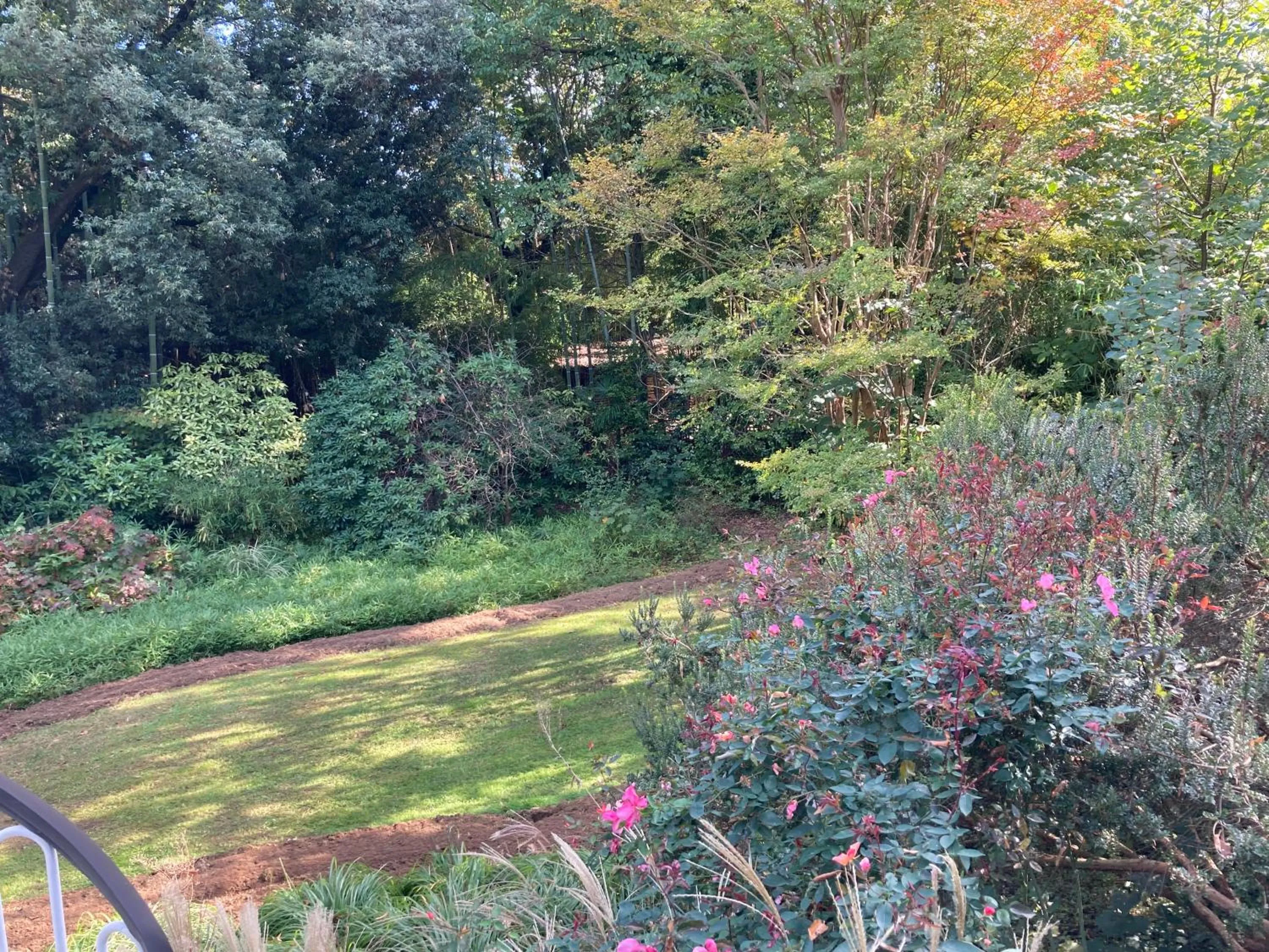 Garden view in La Casa Blu di Monasteto