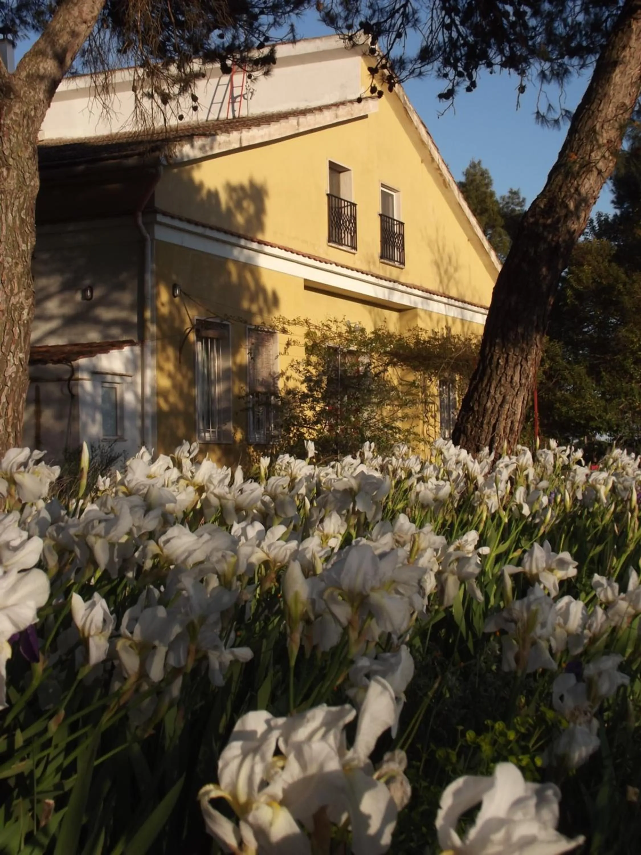 Garden view in Giardino della Moscatella