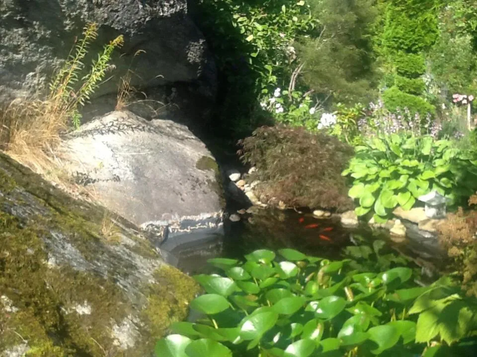 Garden view in Fornuddens Bed and Breakfast