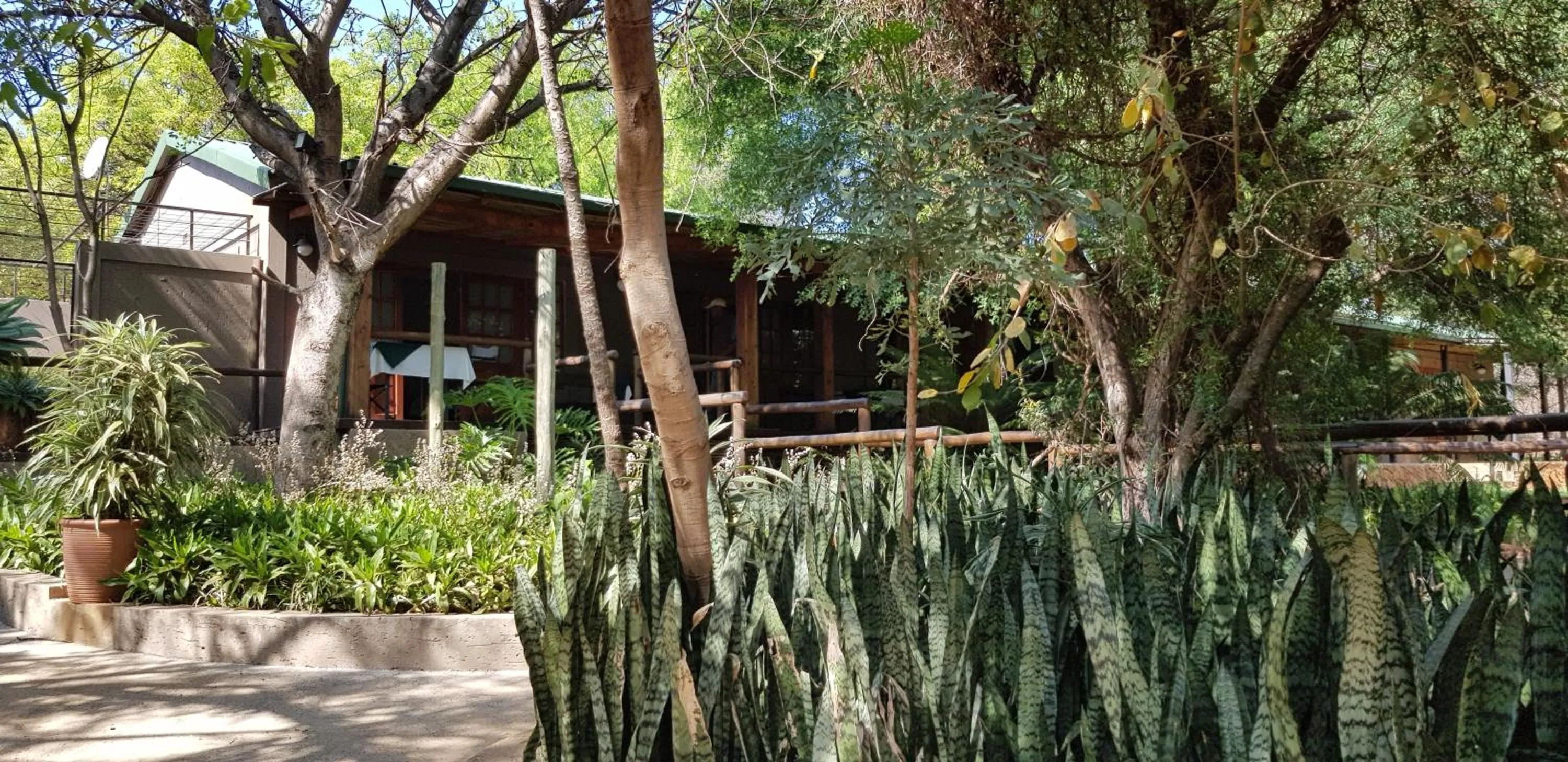 Garden in Tuskers Bush Lodge B&B