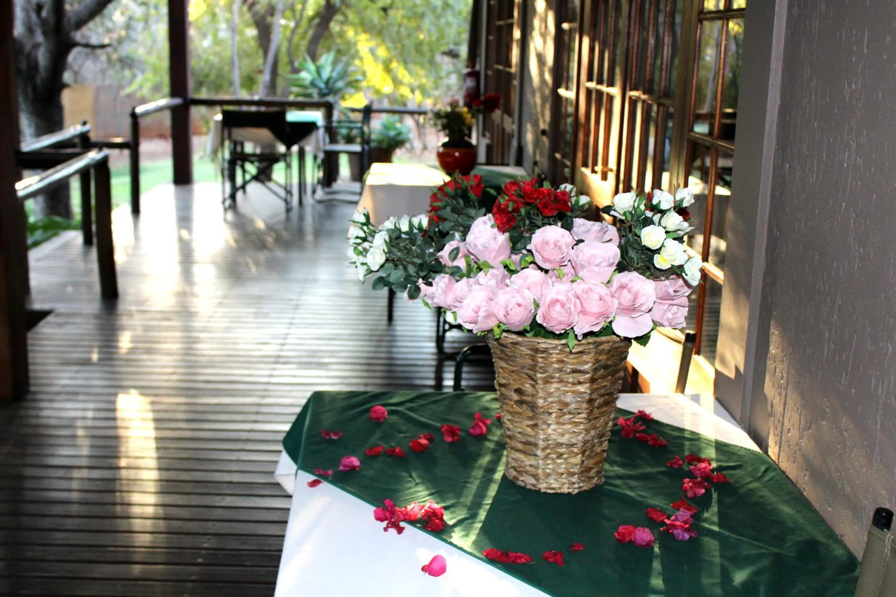 Patio in Tuskers Bush Lodge B&B
