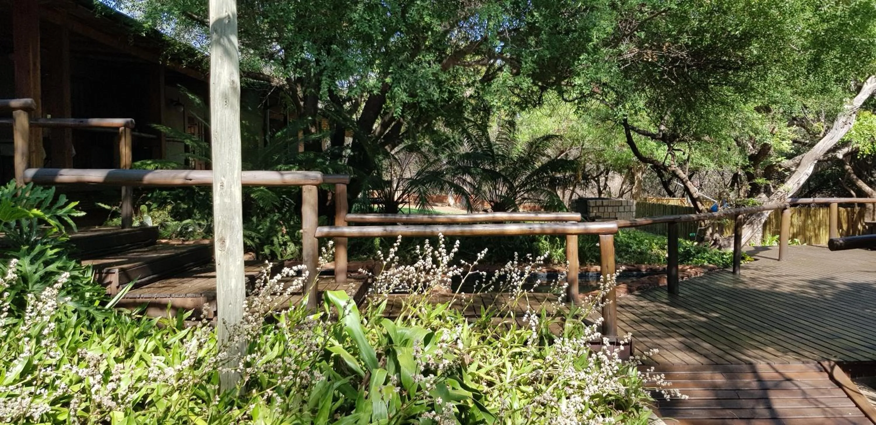 Garden in Tuskers Bush Lodge B&B