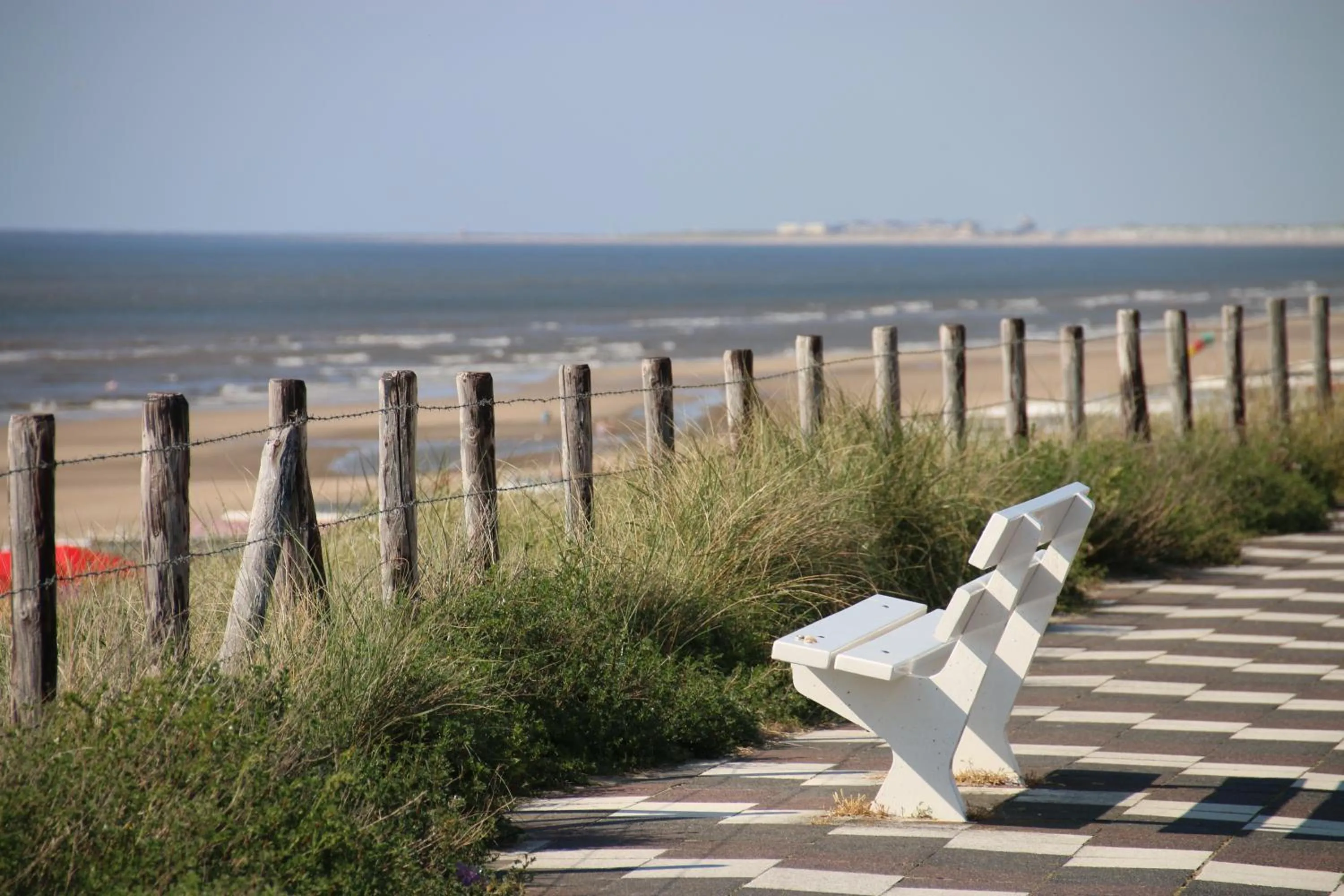 B&B Little Miss Sunshine