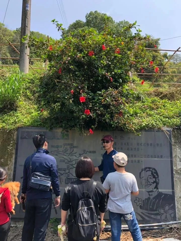 The house behind stream