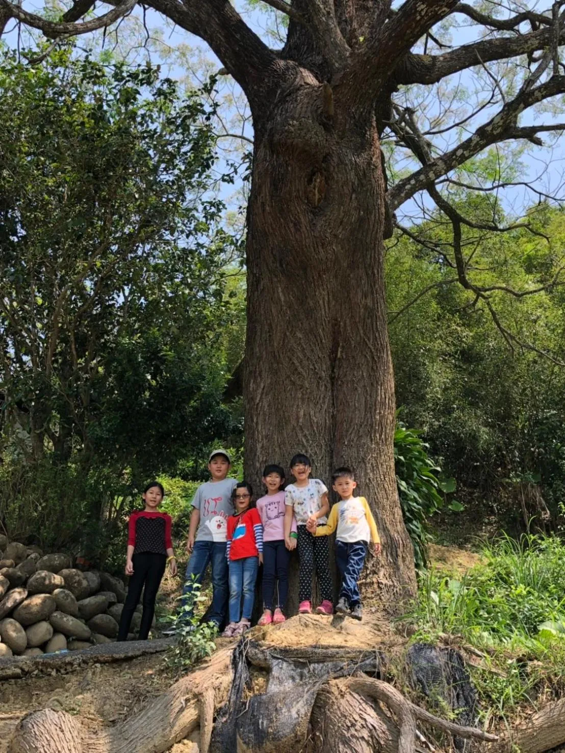 The house behind stream