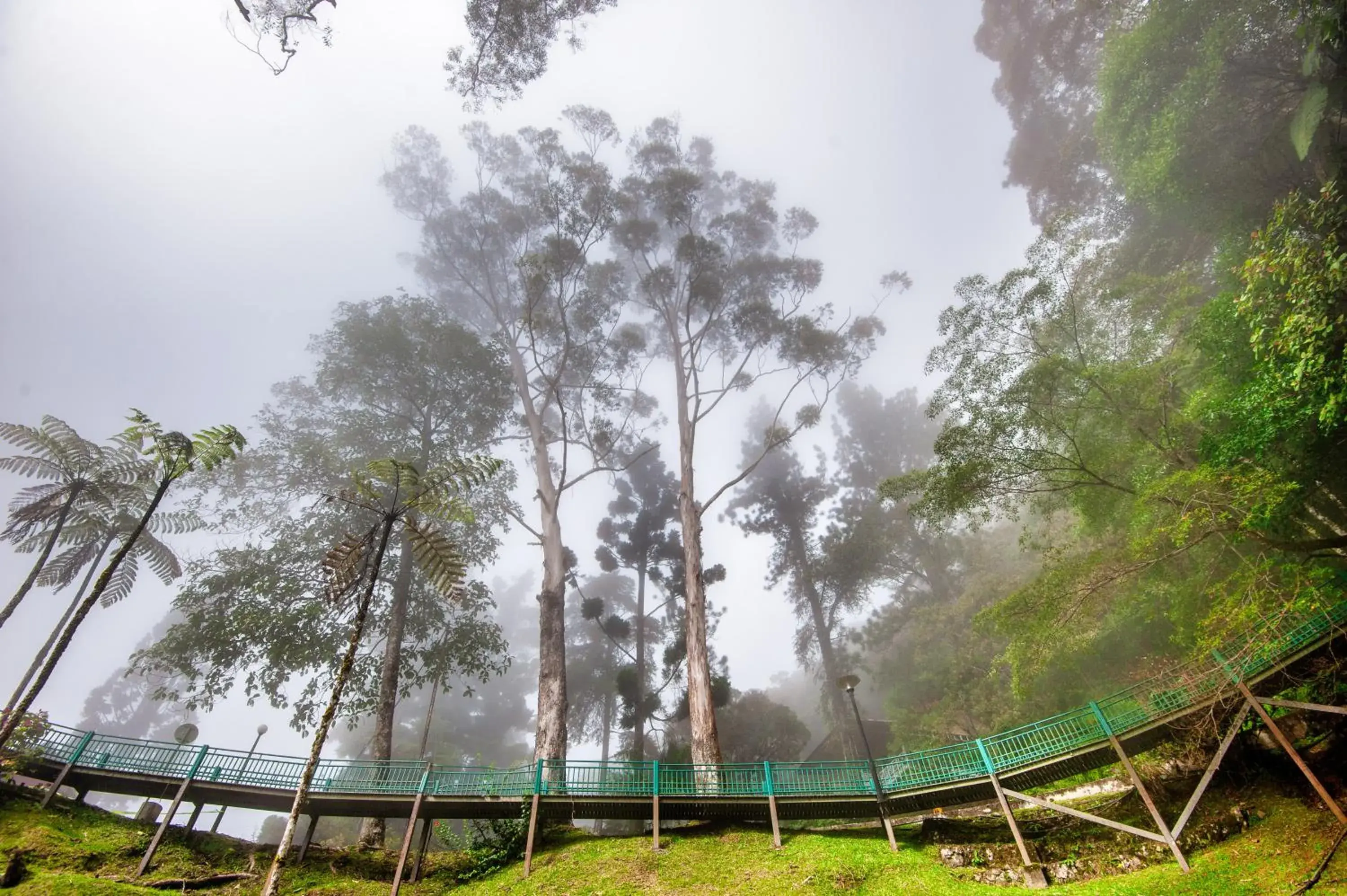 Garden view in Sutera Sanctuary Lodges At Kinabalu Park Garden view in Sutera Sanctuary Lodges At Kinabalu Park