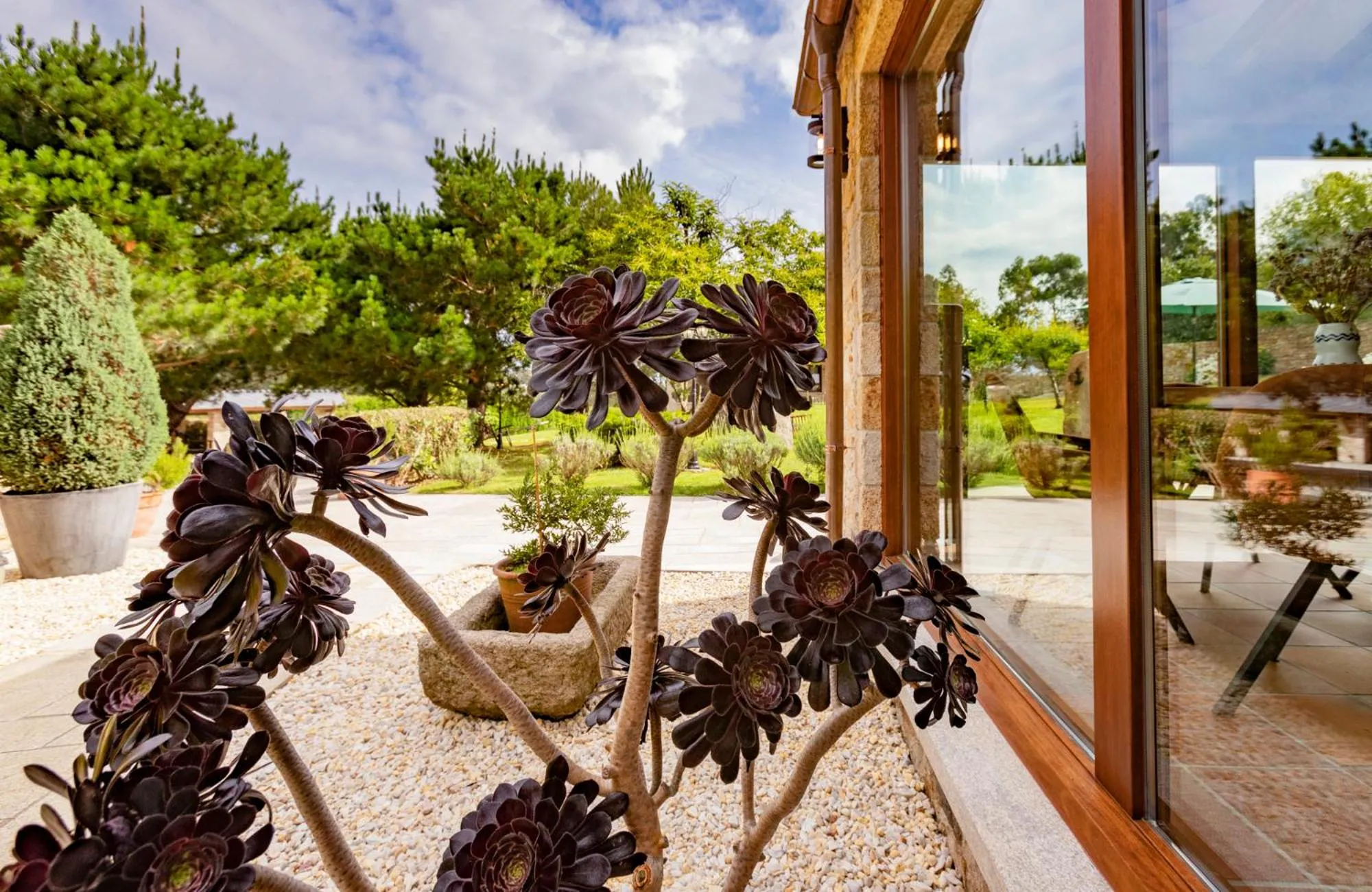 Garden view in Casa do Mudo
